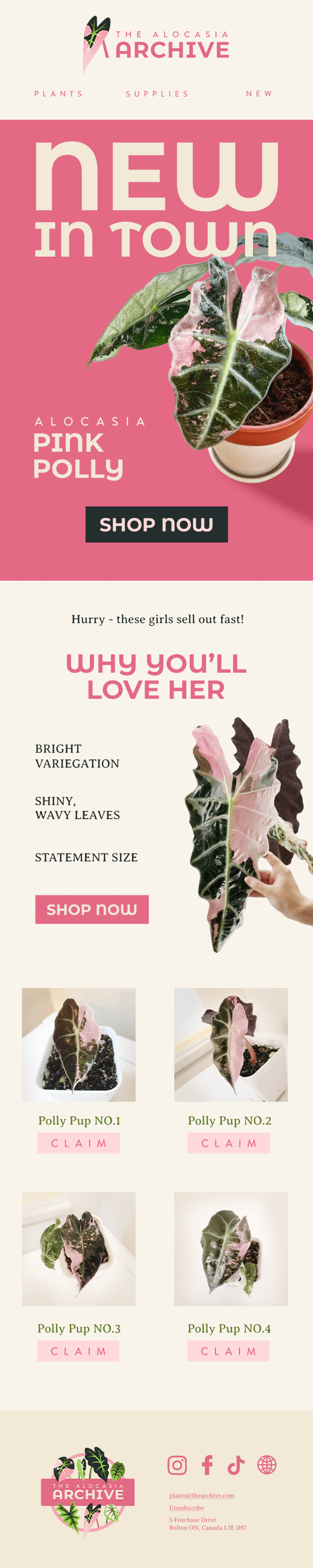 Artboard 1 - NEW product.png