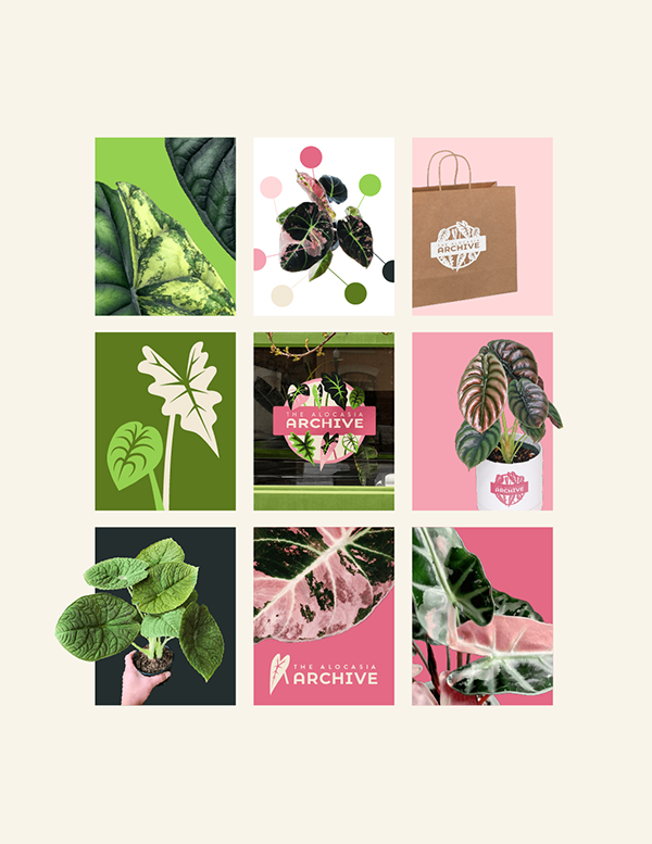 TAA brand grid design prev.png