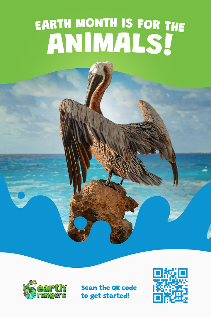 campaigns & projects