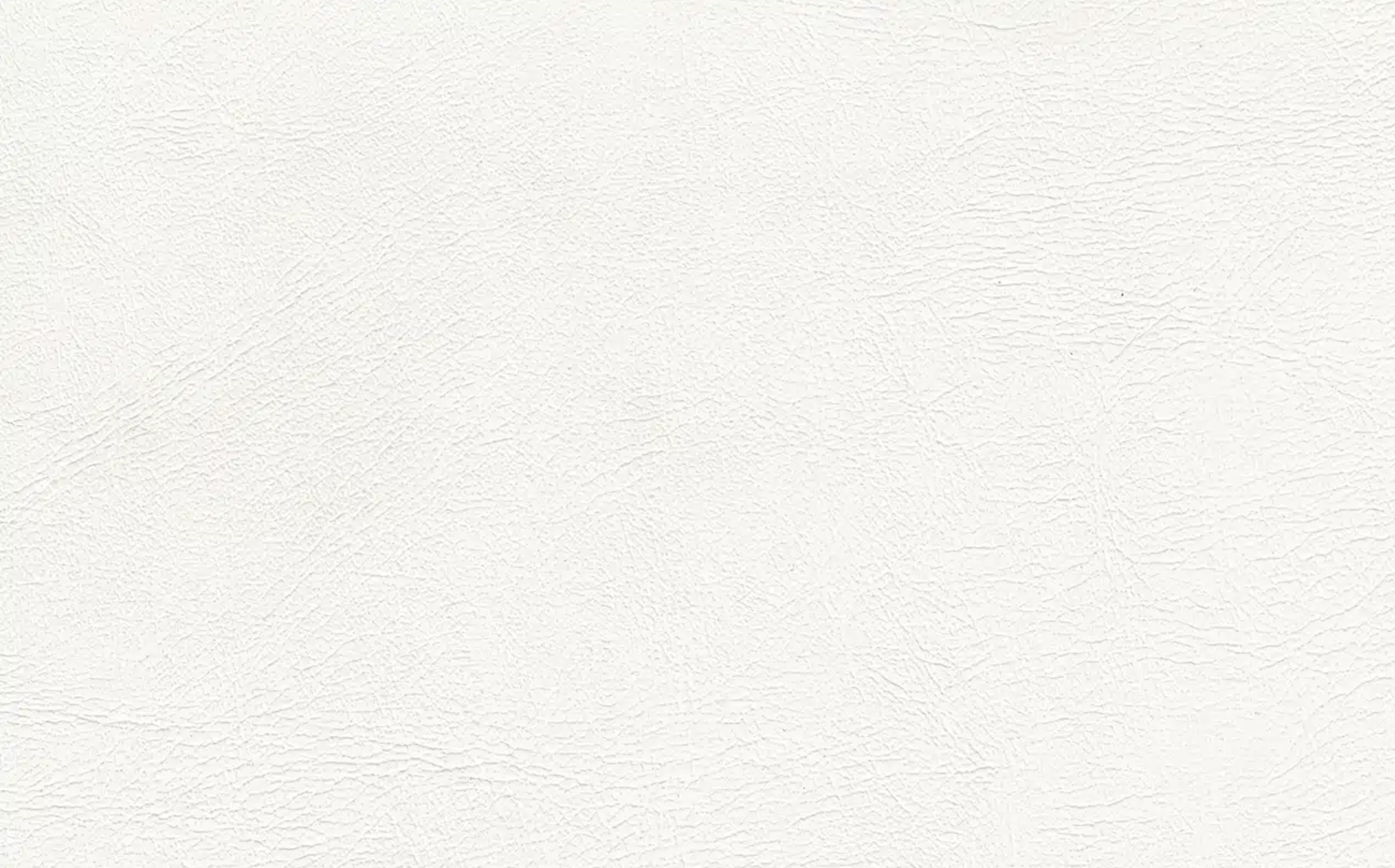 A plain white textured wall with a subtle pattern of small cracks and creases.