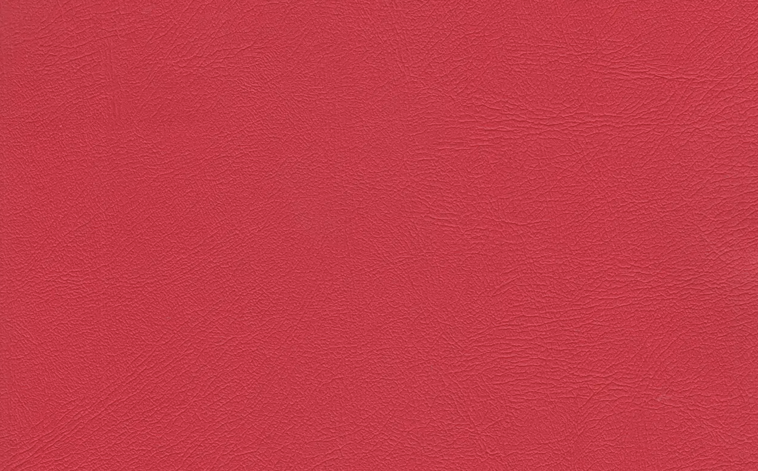 Close-up of red textured leather surface.