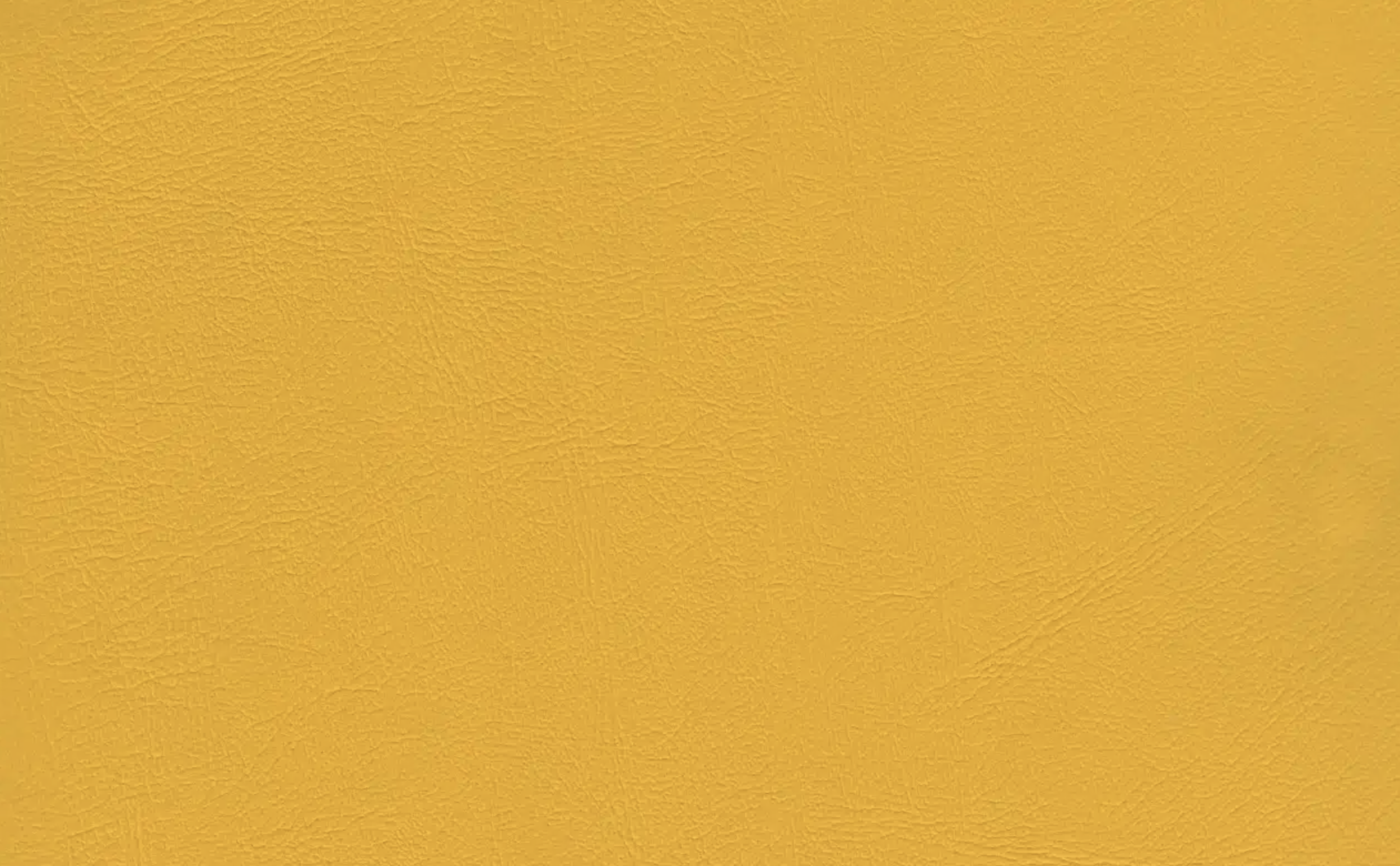 A close-up image of textured yellow leather surface.