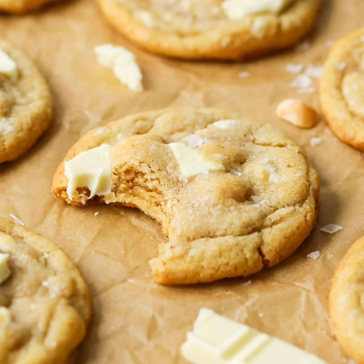 White Chocolate Macadamia Nut Cookies (Sold by the dozen)