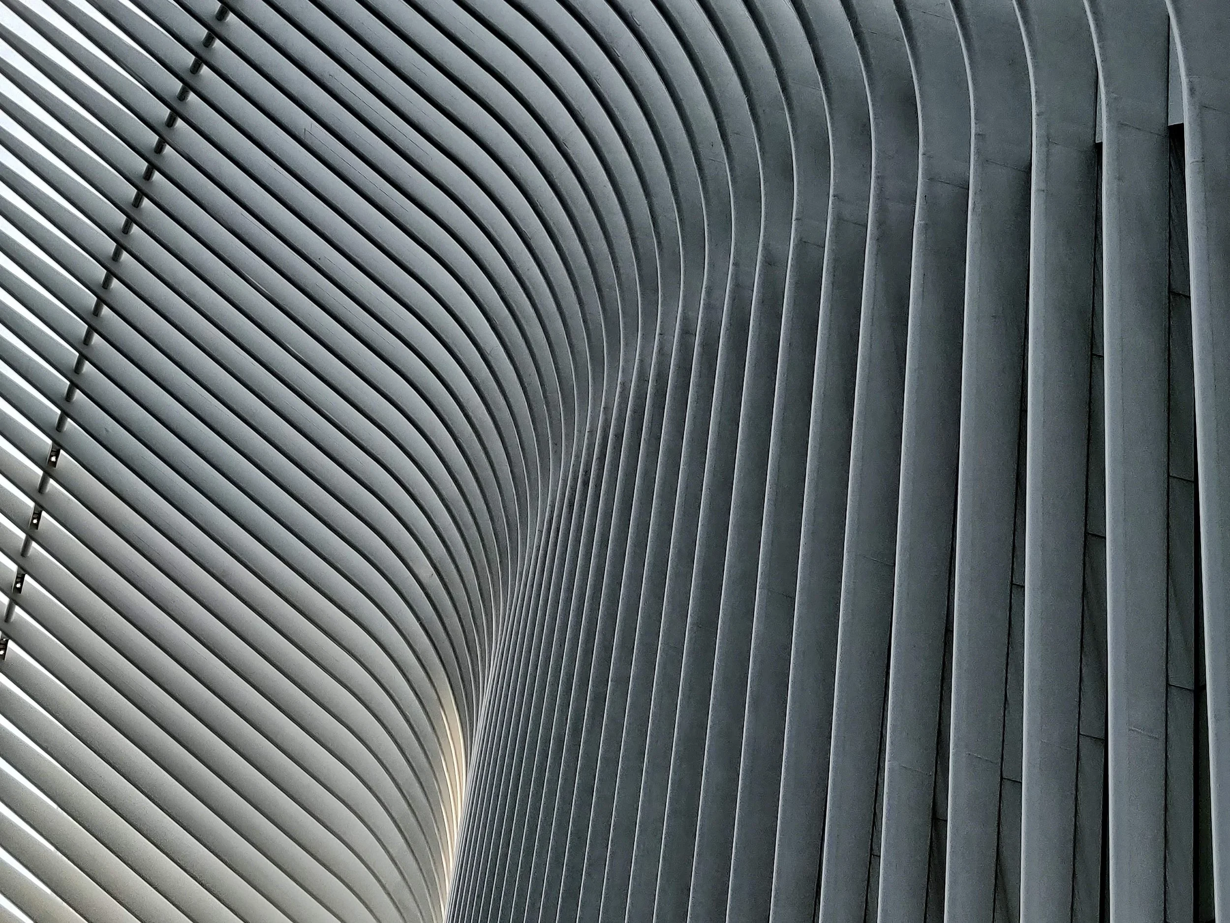[2025] Ribs of the Oculus, 2021.