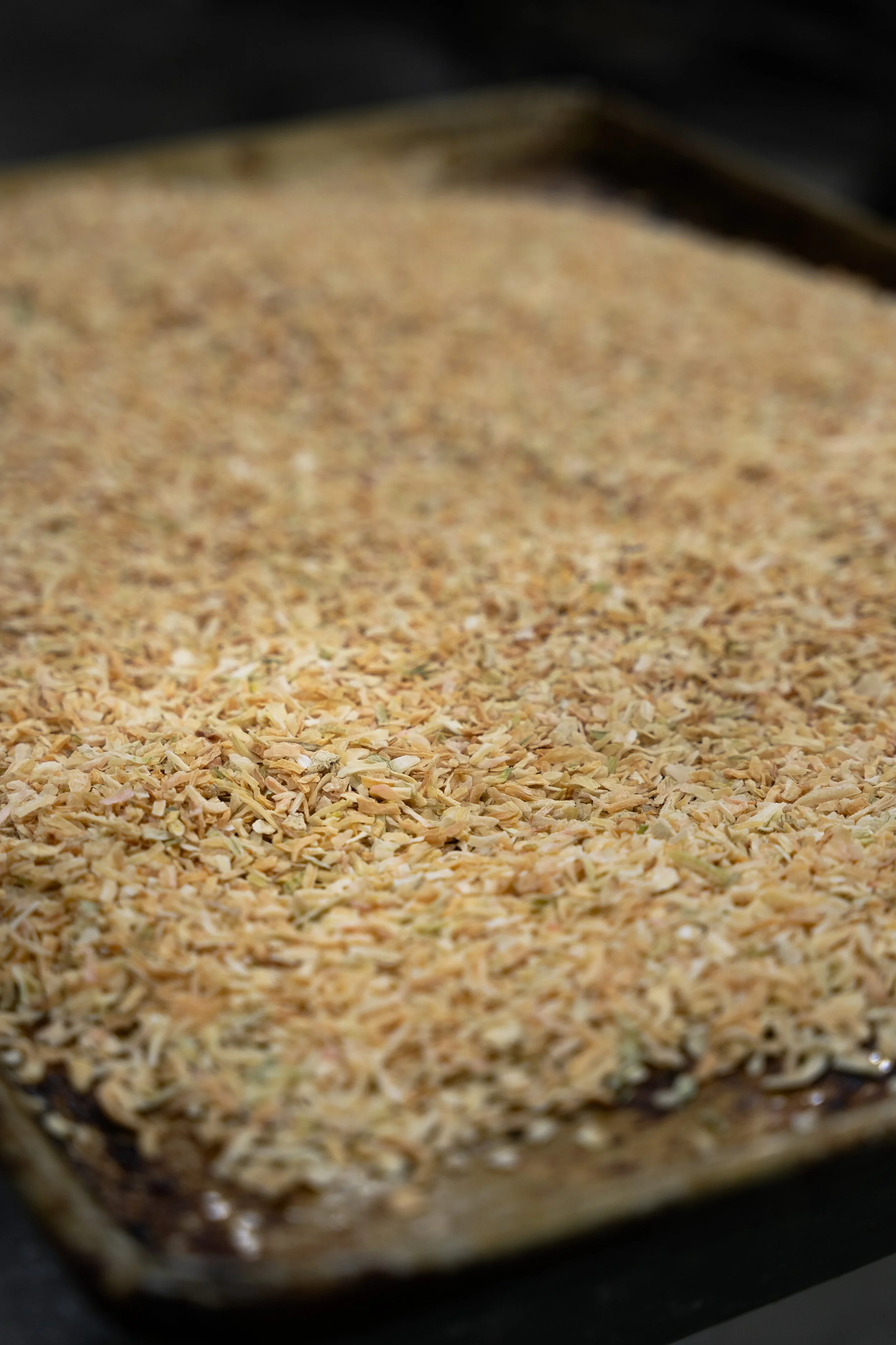 Close-up of a baking sheet with toasted shredded coconut.