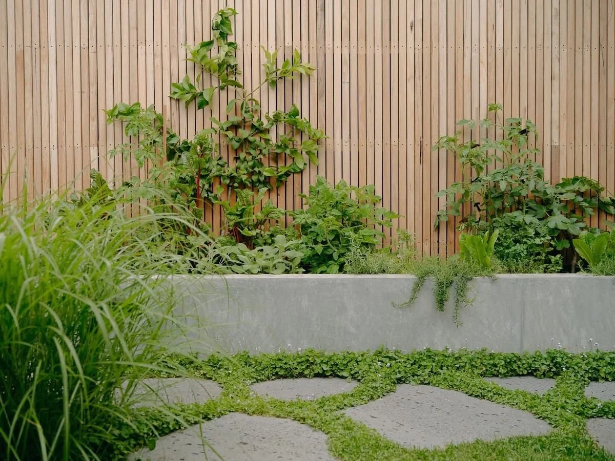 small outdoor space designed with vertical plants and large paving