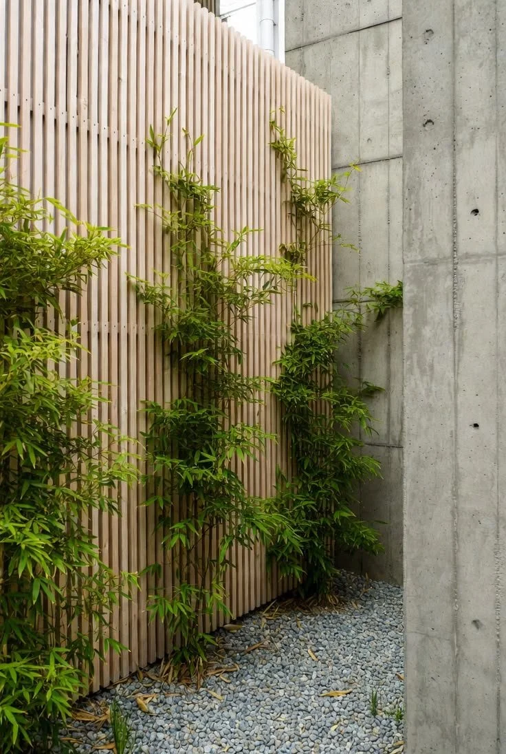 timber privacy screen