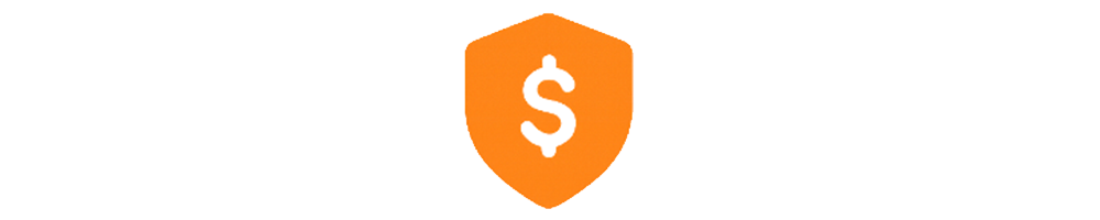 Icon of a shield containing a dollar sign.