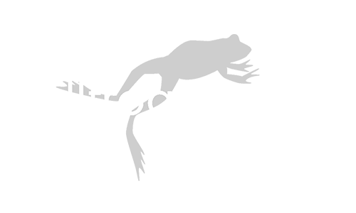 Bullfrog Power logo with a frog silhouette above the text.