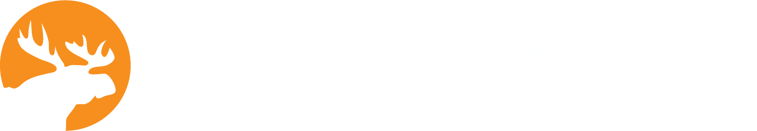 Moose Power Website Strategy