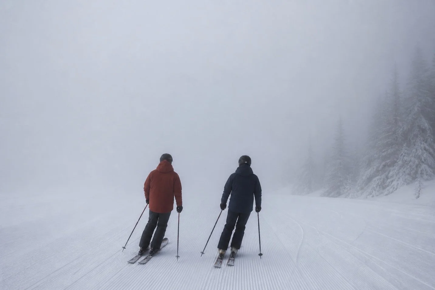Two skiers in red and blue jackets glide down a foggy, snow-covered slope. Tall, snow-laden evergreens line the right side, creating a serene winter scene.