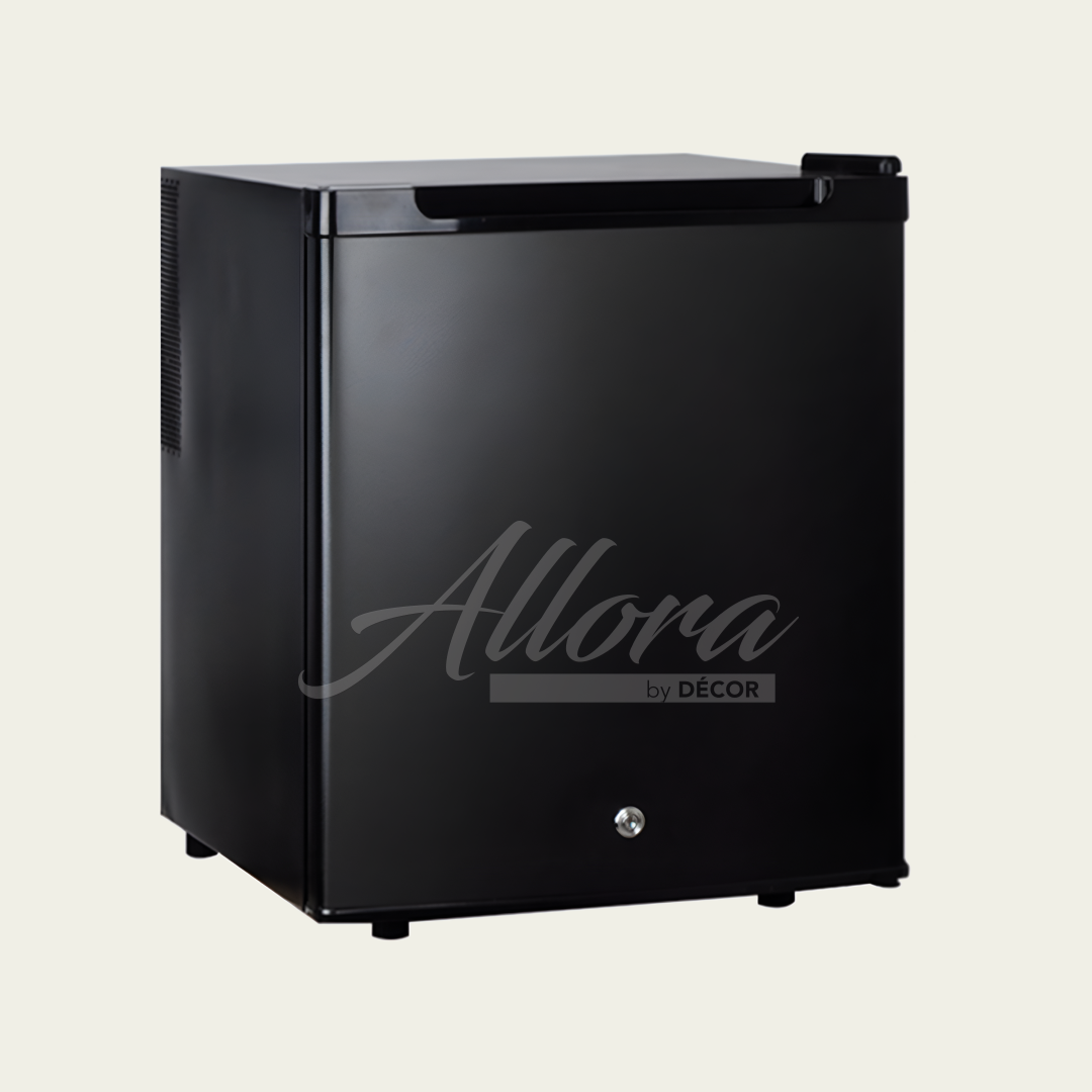 Mini Fridges