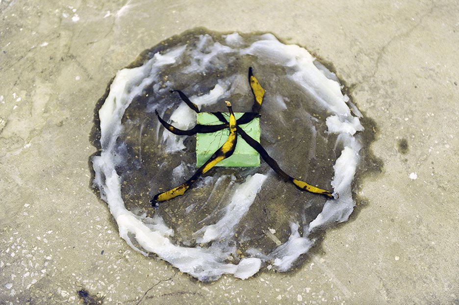_WAH0102.jpg