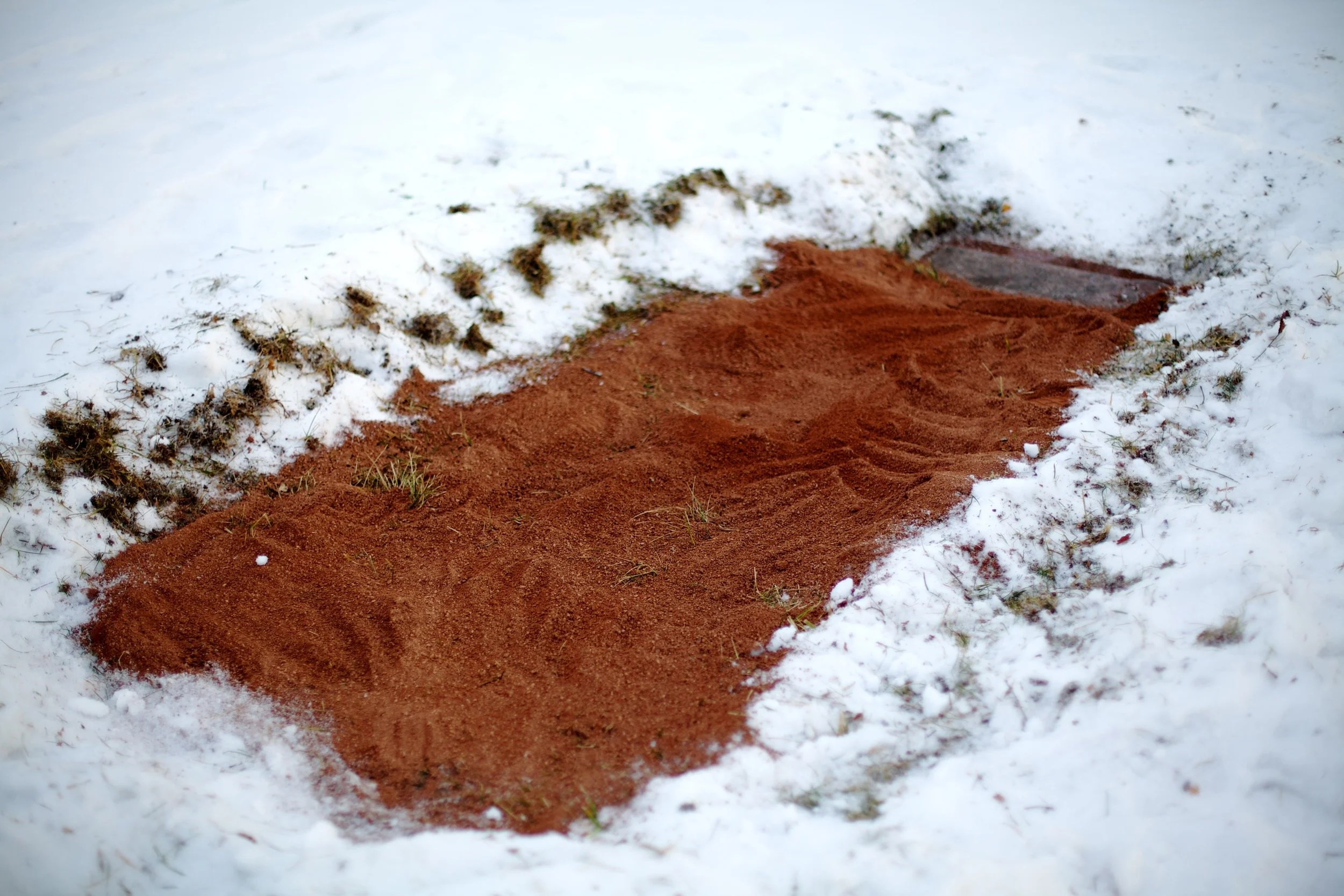 THE EXAMPLE SET BY THE SOIL