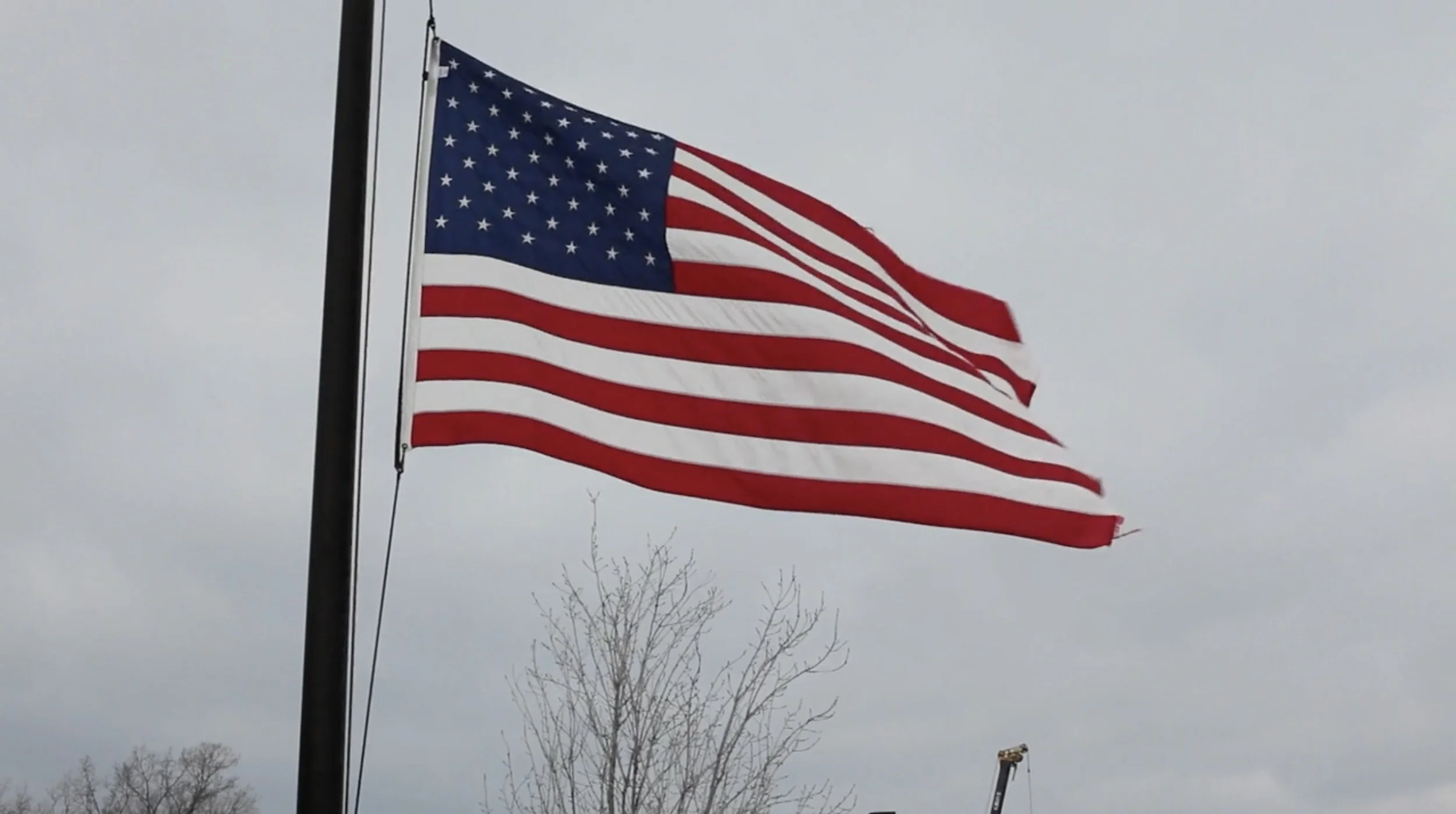 WEIGHTED FLAG