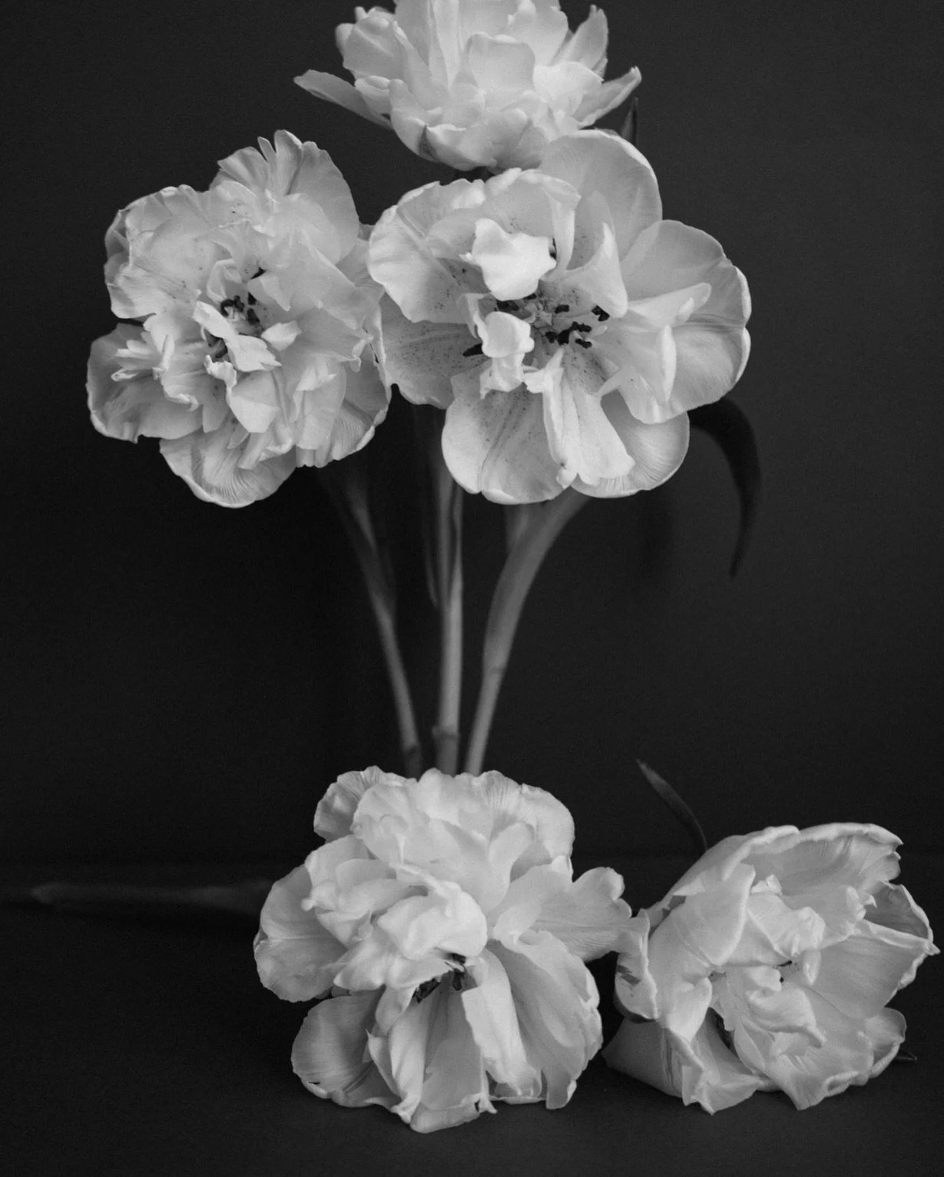 sometimes the most beautiful thing, can simply be the moment you stop to feel..