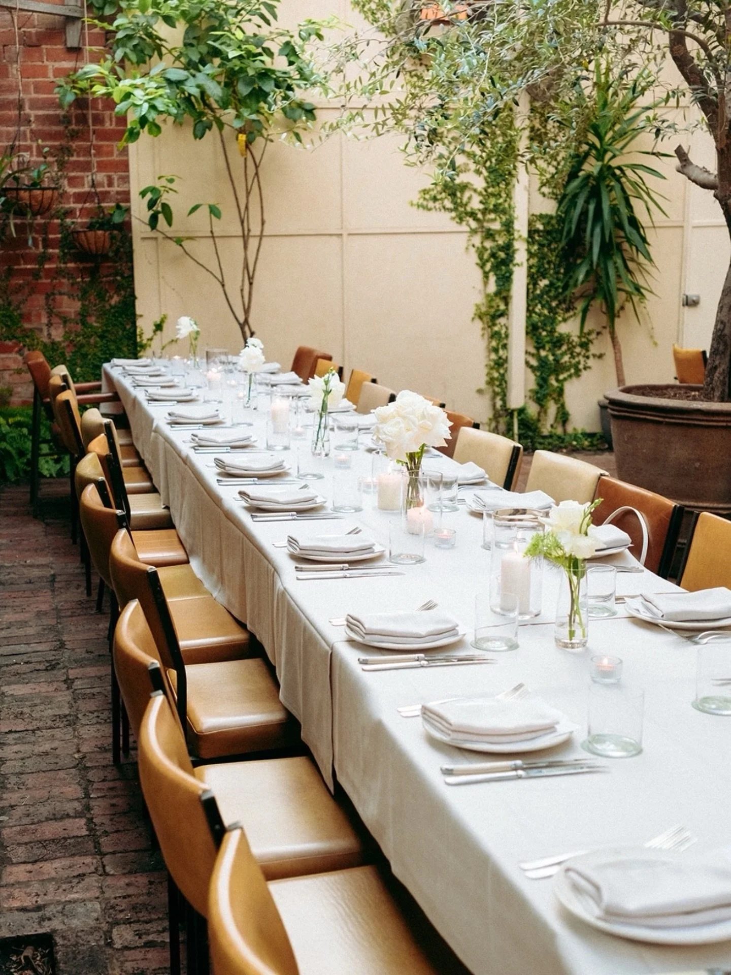 Table styling, candle hire and flower arrangements
⠀⠀⠀⠀⠀⠀⠀⠀⠀
Simple &bull; modern &bull; beautiful &bull; weddings

Venue @oldpalmliquor