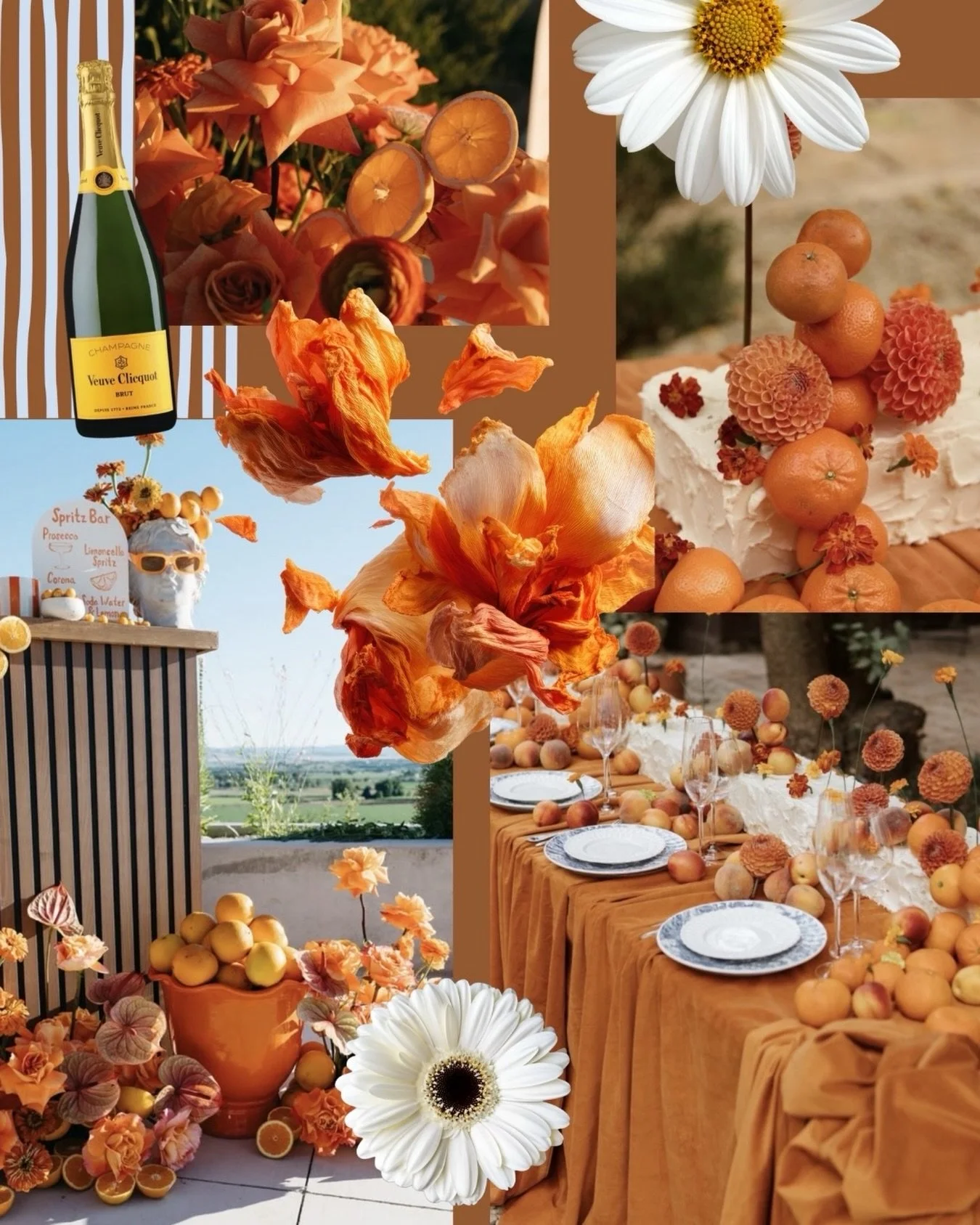The ultimate euro Summer mood board for your next event🍊
⠀⠀⠀⠀⠀⠀⠀⠀⠀
It feels like laughter before the first sip
Like a table you fall into, not sit at
Like the kind of afternoon that slowly unravels into evening
Golden light moving across the table
B