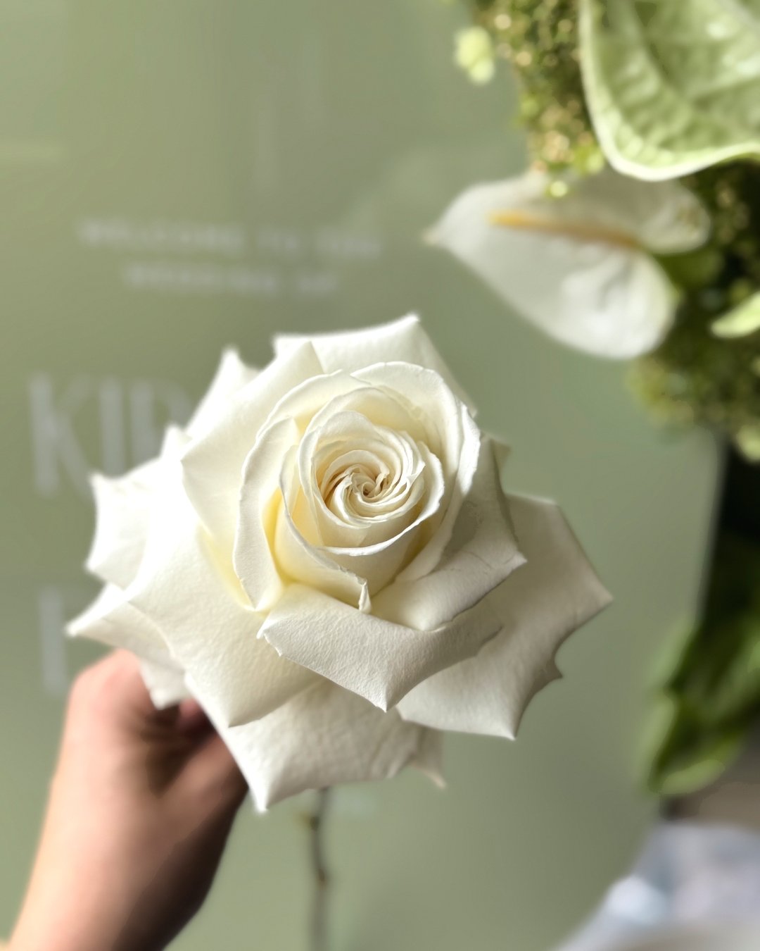 ~ the ultimate flex ~ 

The reflexed white rose is a timeless beauty for any event. If you&rsquo;re feeling stuck and unsure, these stunners will wow the room every time