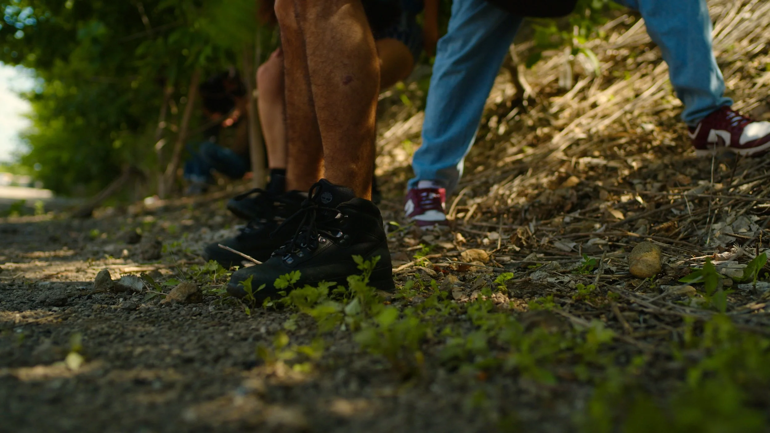 Still 2025-11-30 020012_1.2.1.jpg