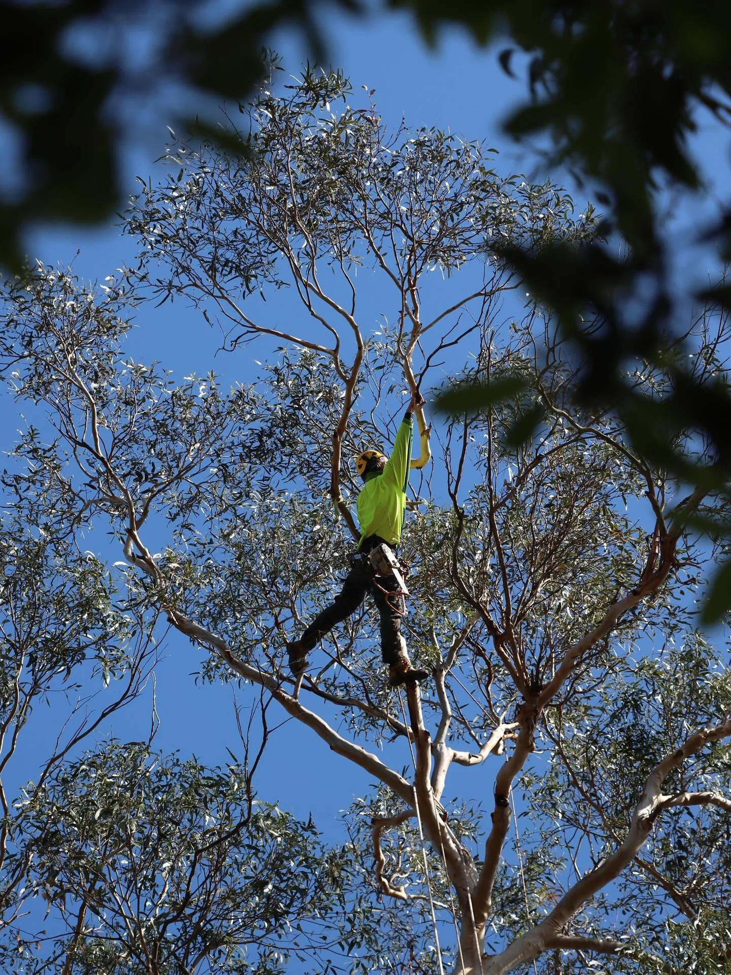 📸 @bongiorno_photography