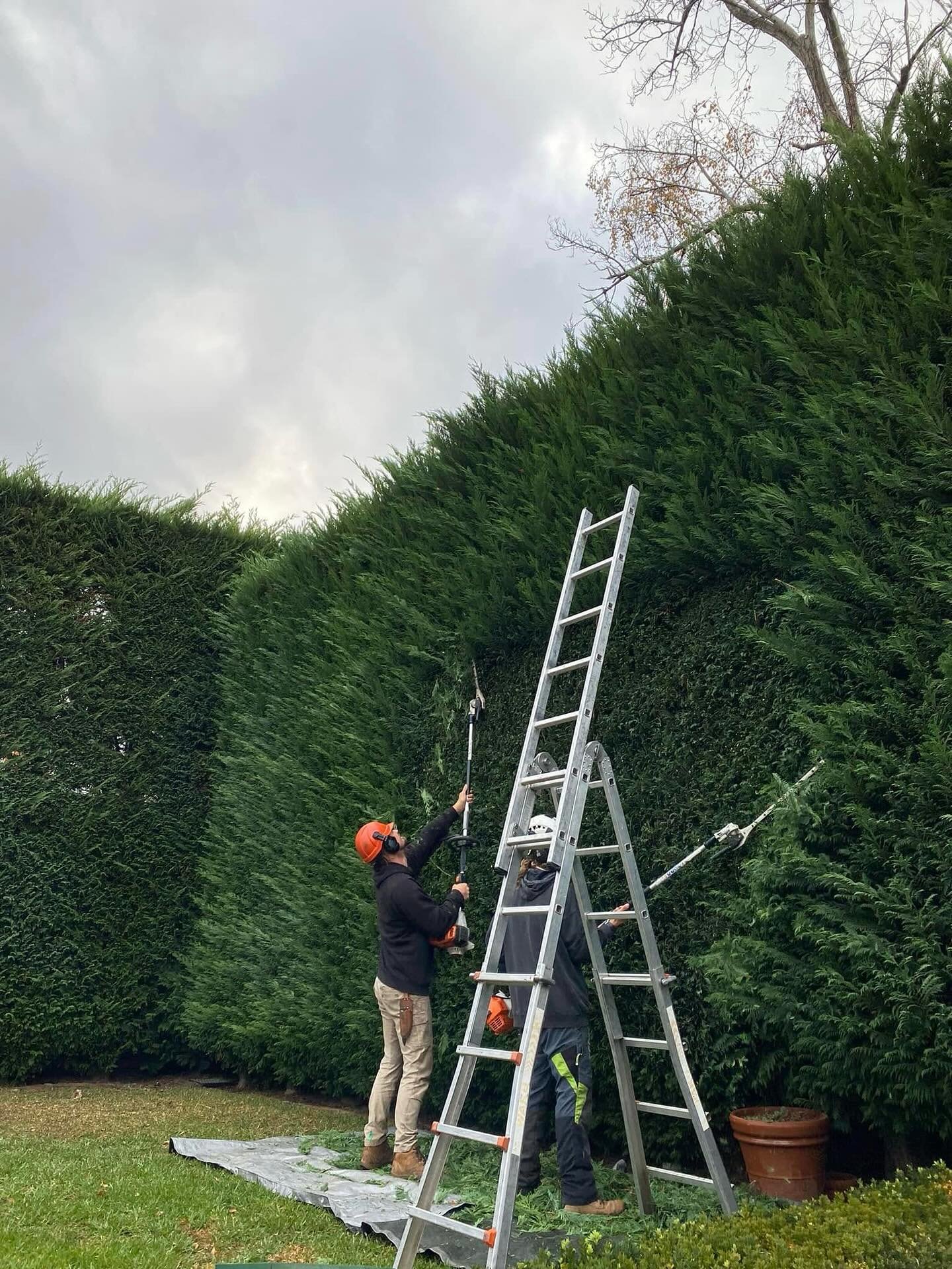 When Bill &amp; Jordan are perfectionists as good as each other, you know you&rsquo;ve got the right guys for the job 👏