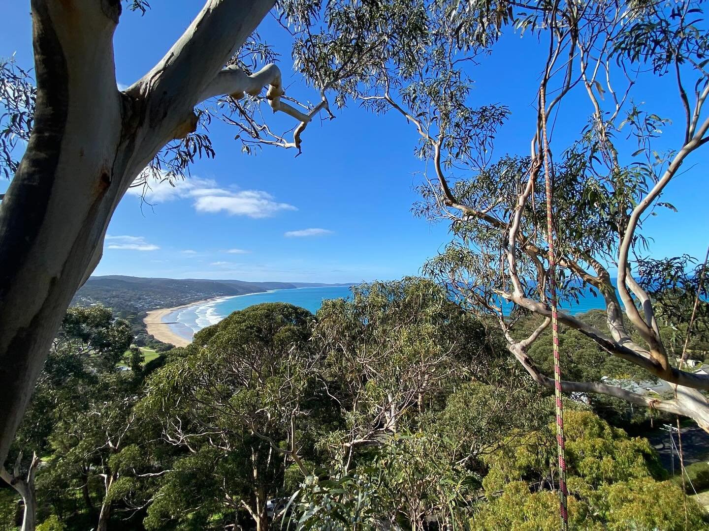 The climb is always worth it when the view is like this 😍