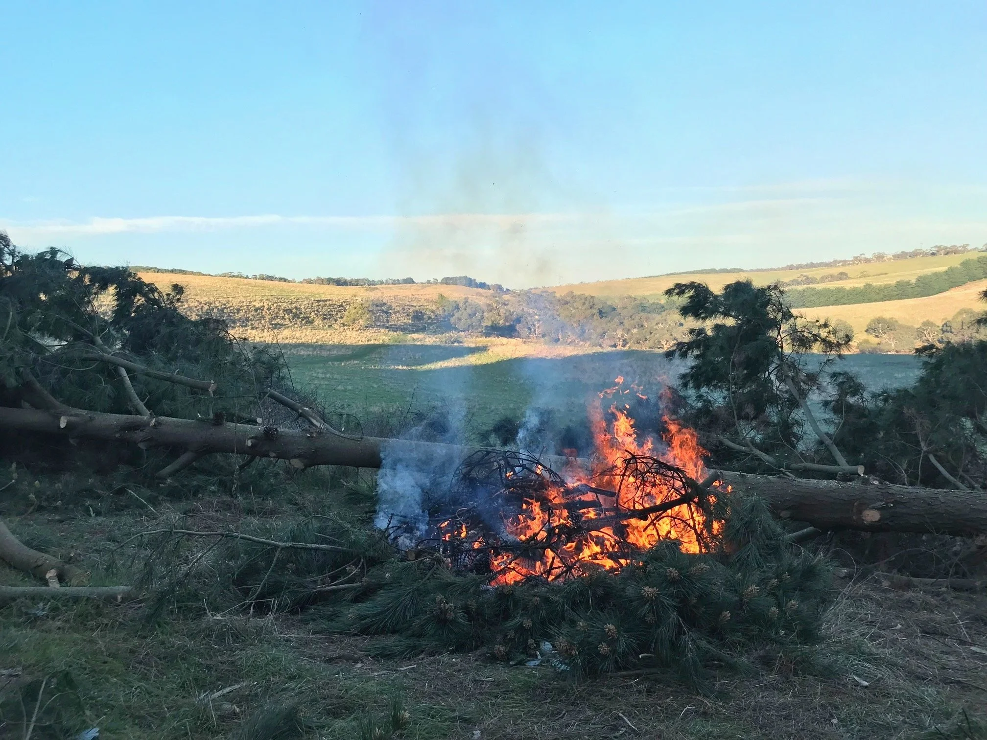 Fire Season Preparation