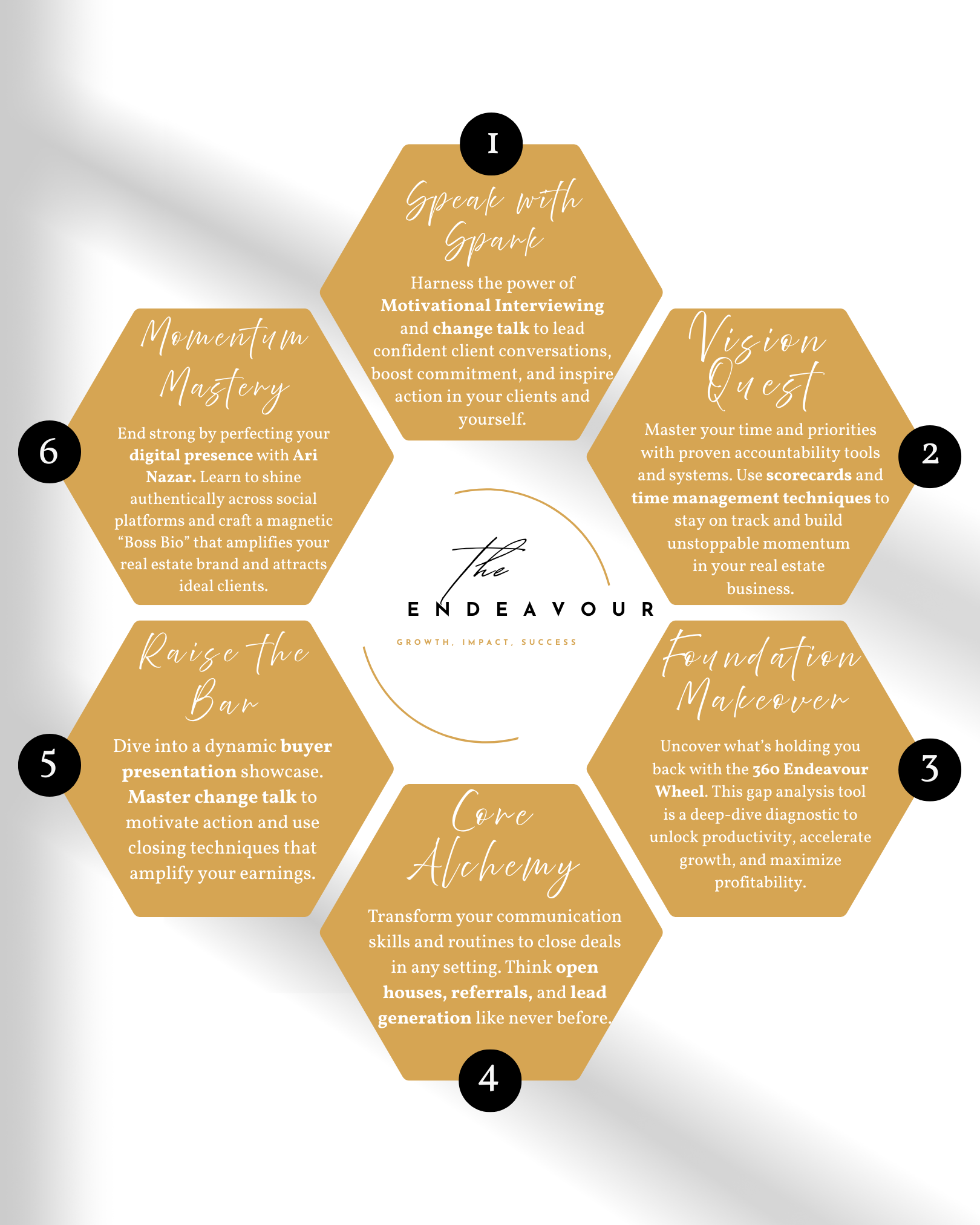 The Endeavour: Elevating Your Business Coaching Series: Single Session