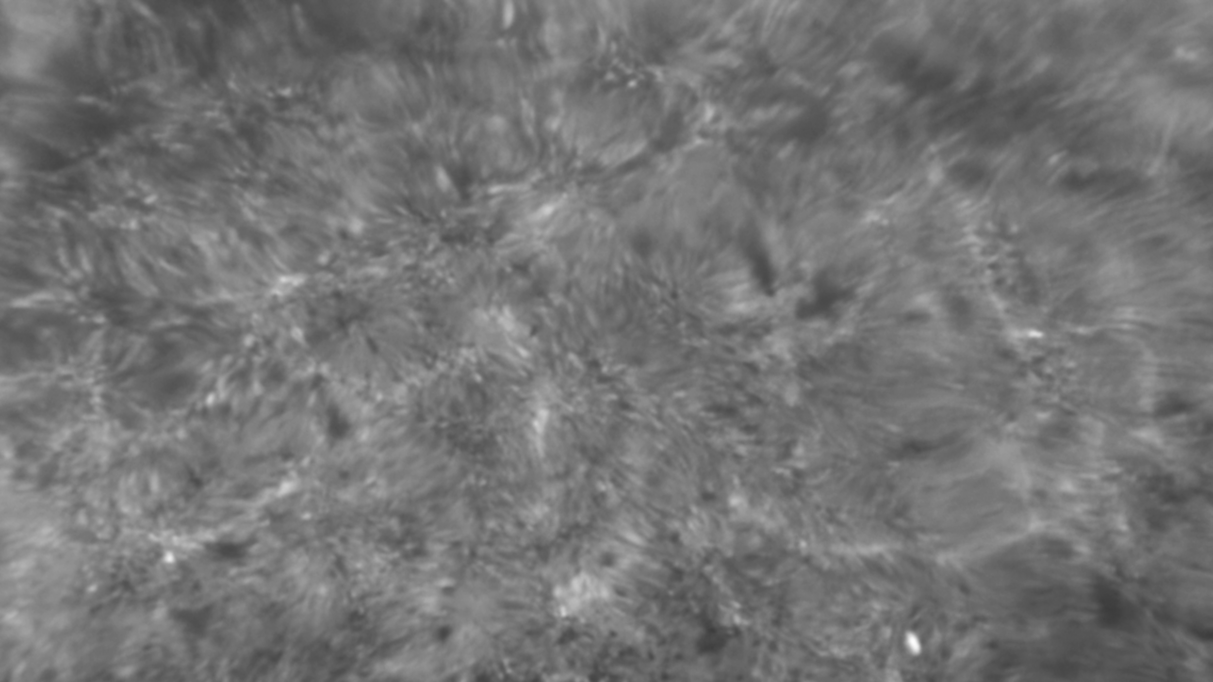 showreel-2.00_00_00_05.Still006.png