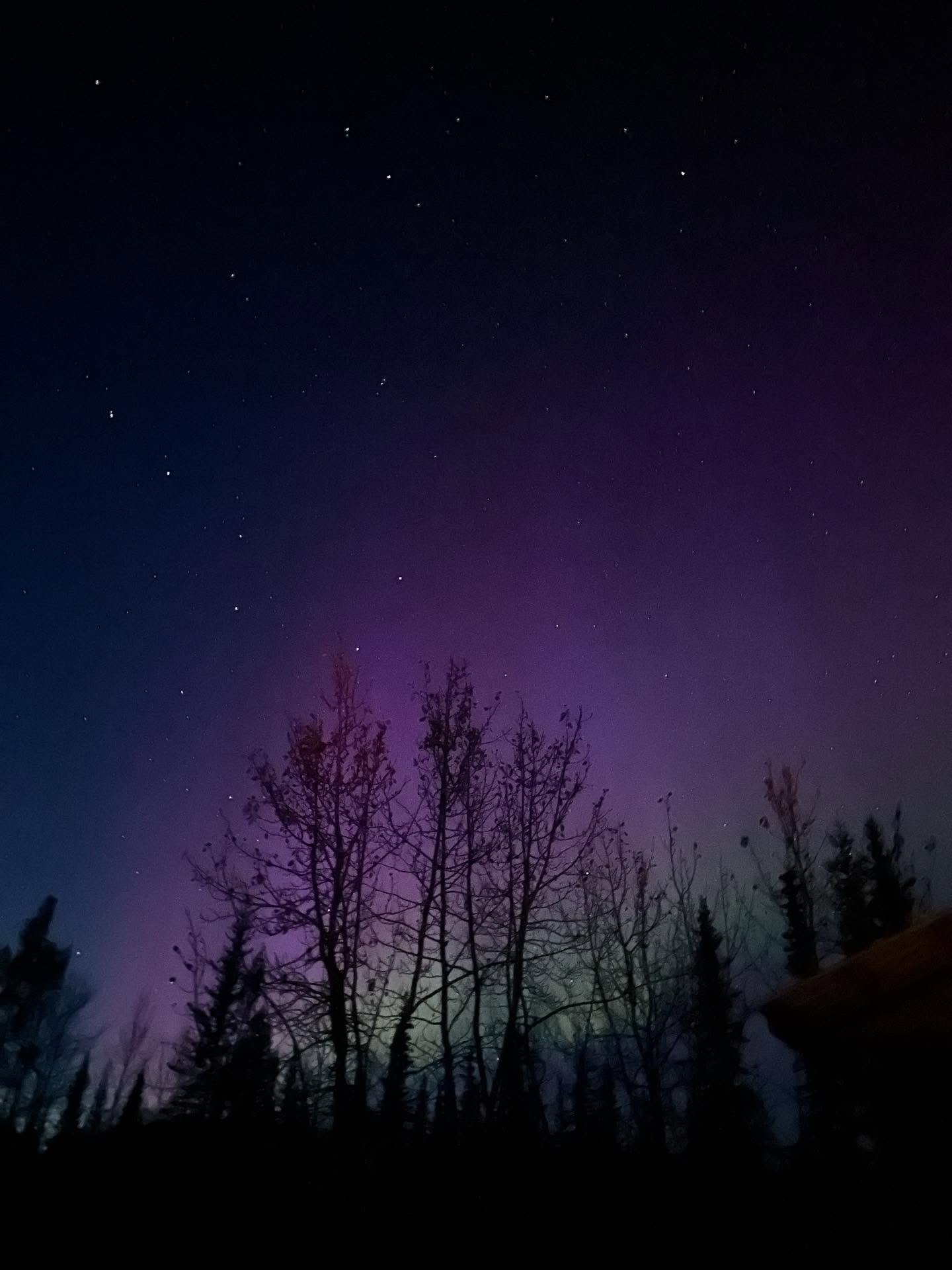 The northern lights are dancing and singing 💜💚 #northernlights #yukon #outside