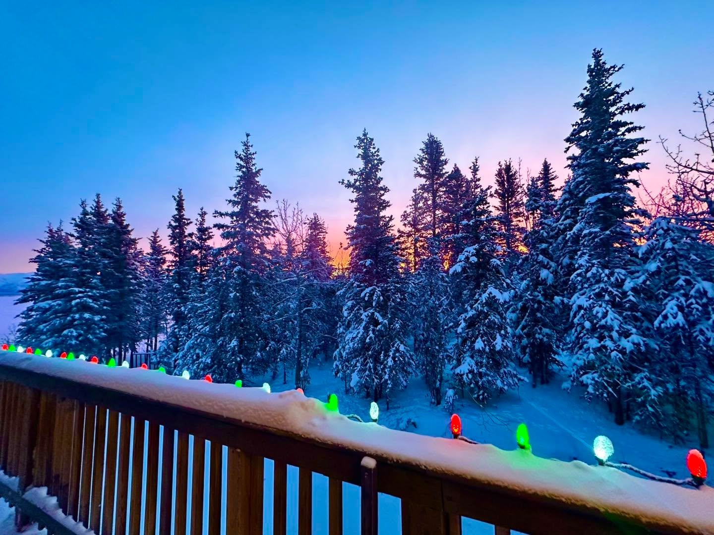 Wishing you all a Merry Christmas Eve 🎄✨

#lightisback💫