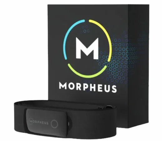 OneLifers × Morpheus