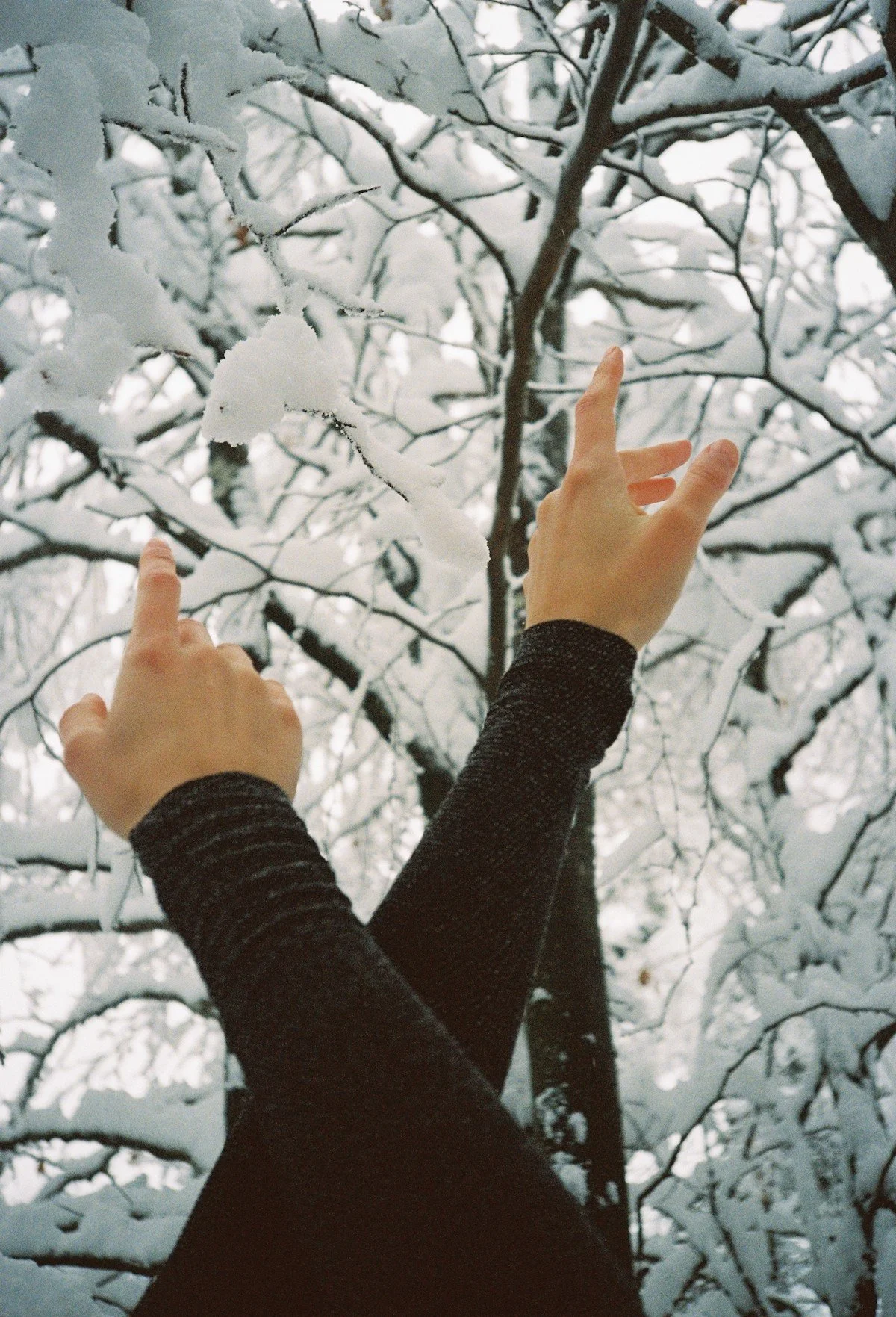 Yoga und Berge. Retreat am Mesnerhof-C.
