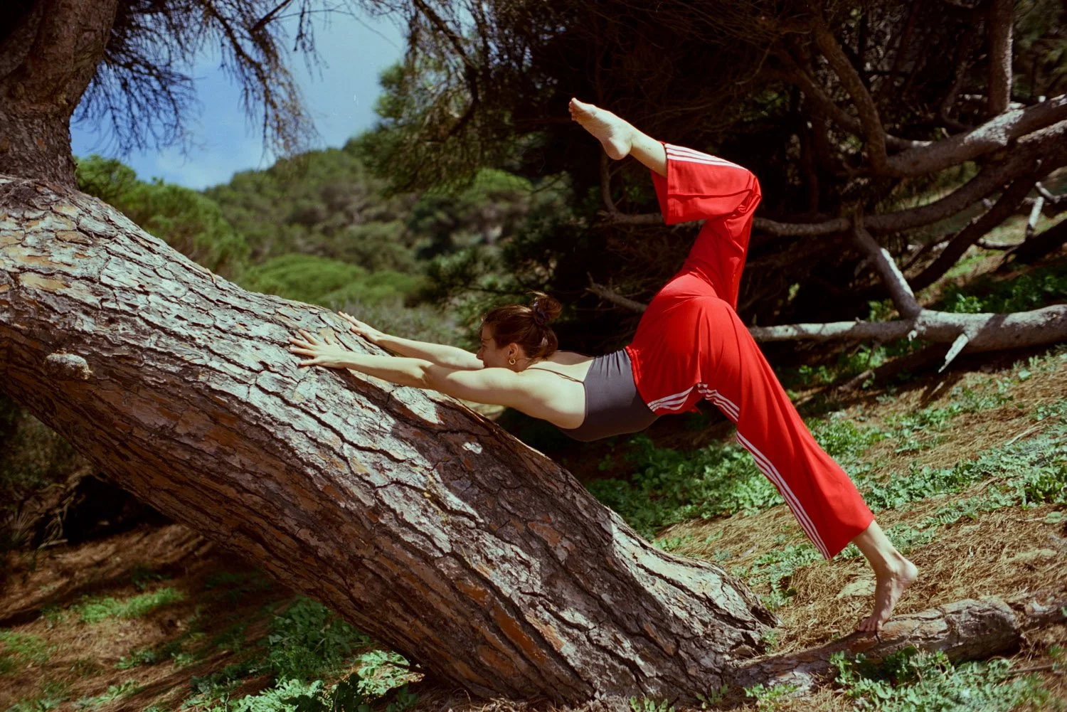 Frau in aktiver Tänzerinnen-Pose an einem Baum im Pinienwald.