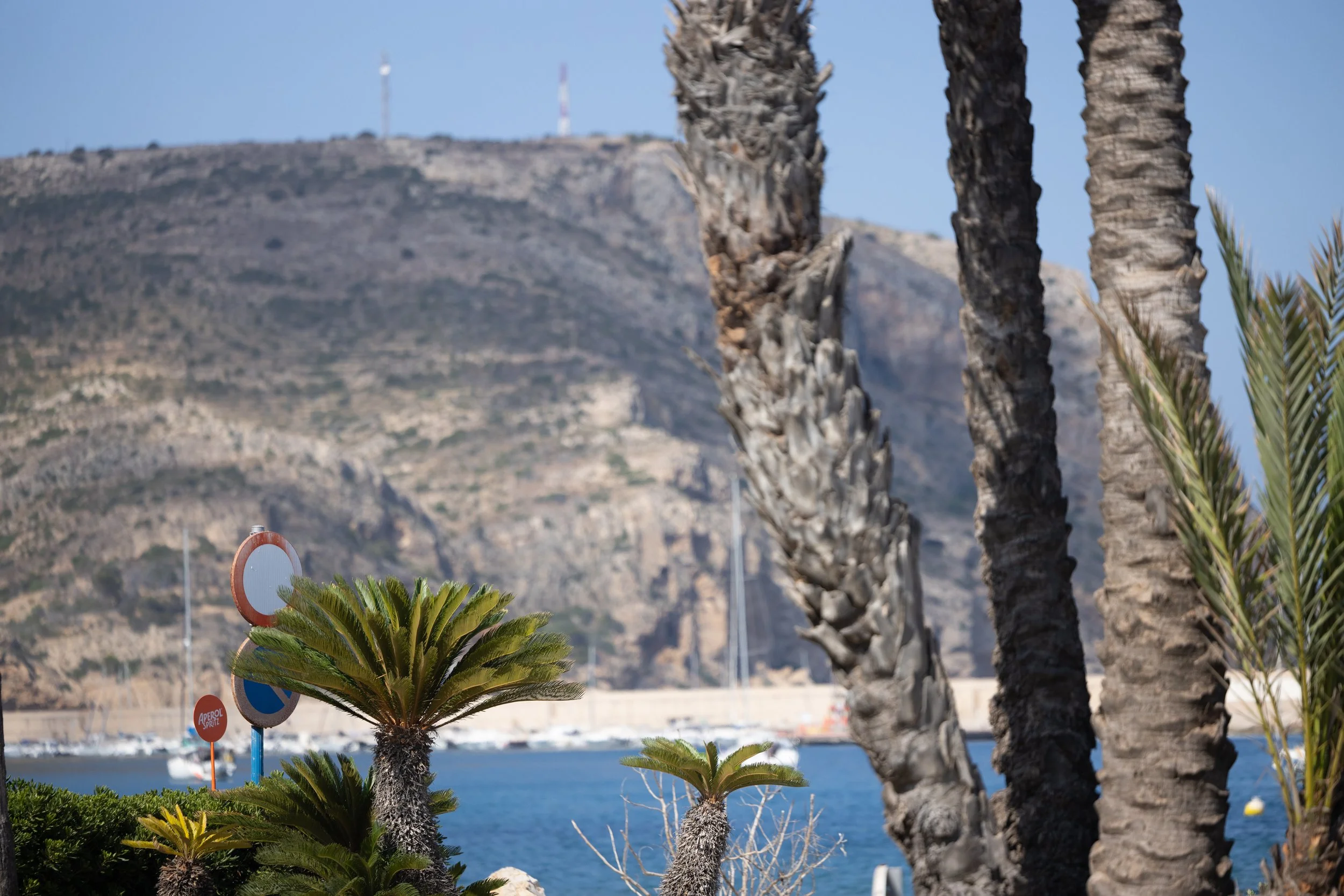 A coastal scene with palm trees, a mountain in the background, and water with boats, under clear blue sky.