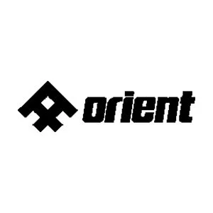 orient-insurance-client-logo.jpg