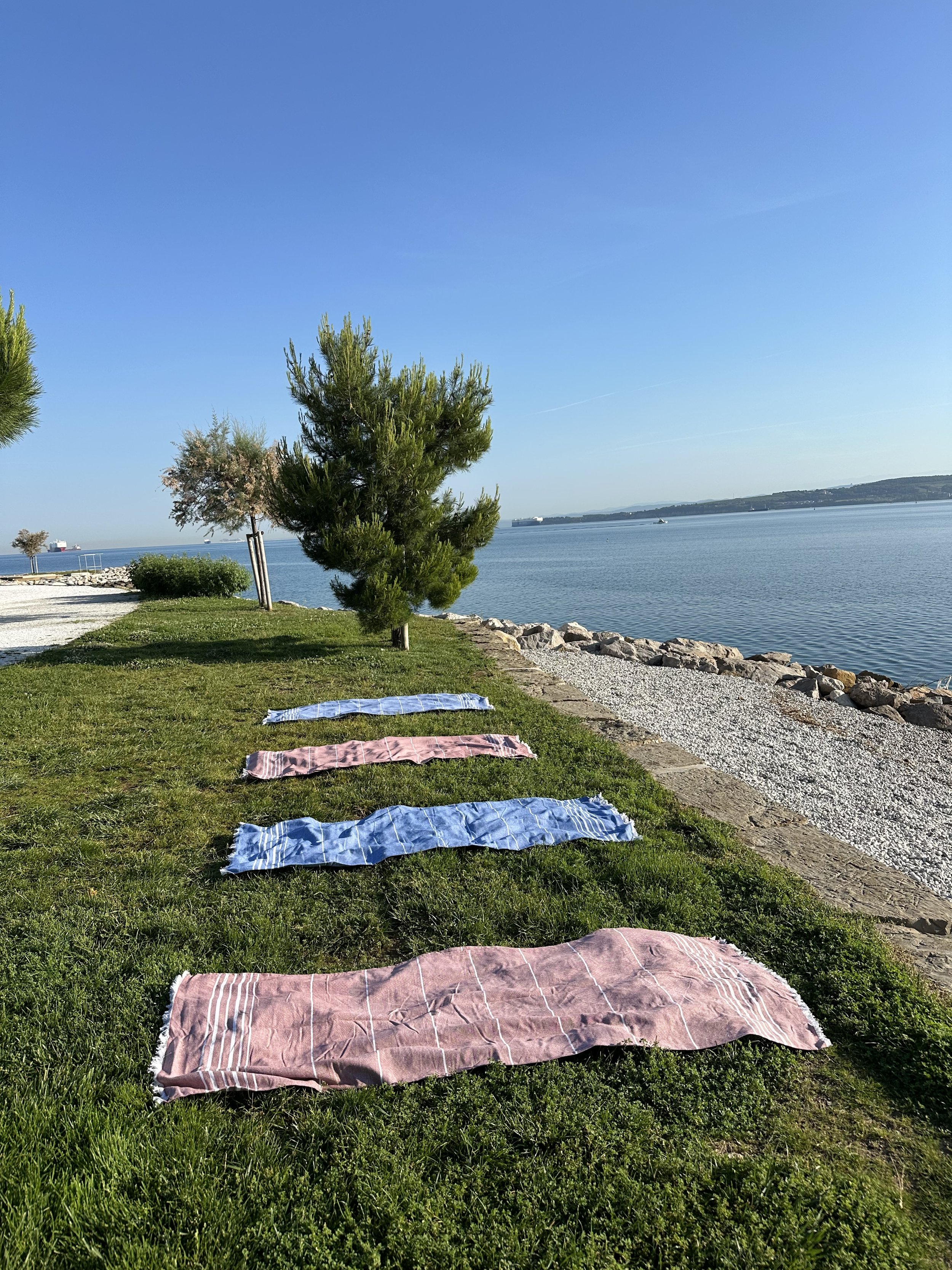 Morning Breathwork &amp; Nervous System Reset by the Sea