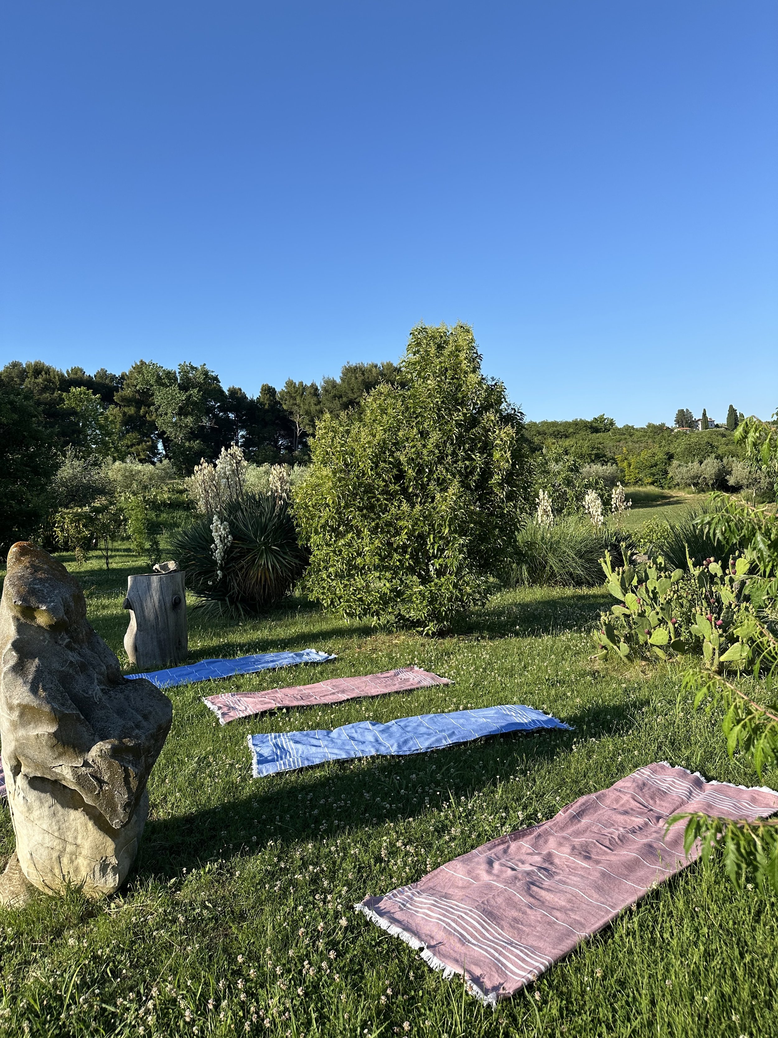 Breathwork ob sončnem vzhodu nad Strunjanskim zalivom 