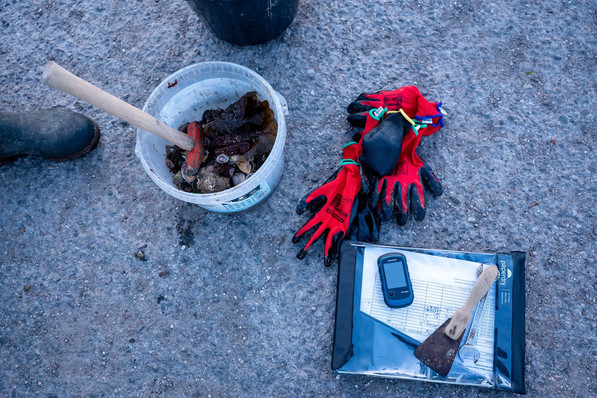 P1106504.jpg