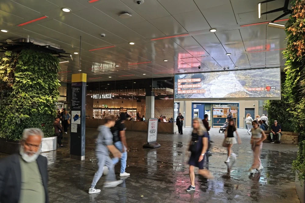 Adobe Express - file-13.jpg