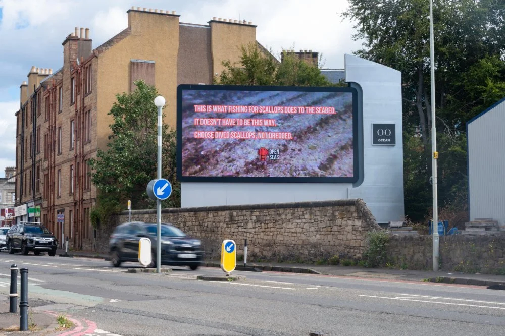 Adobe Express - file-11.jpg