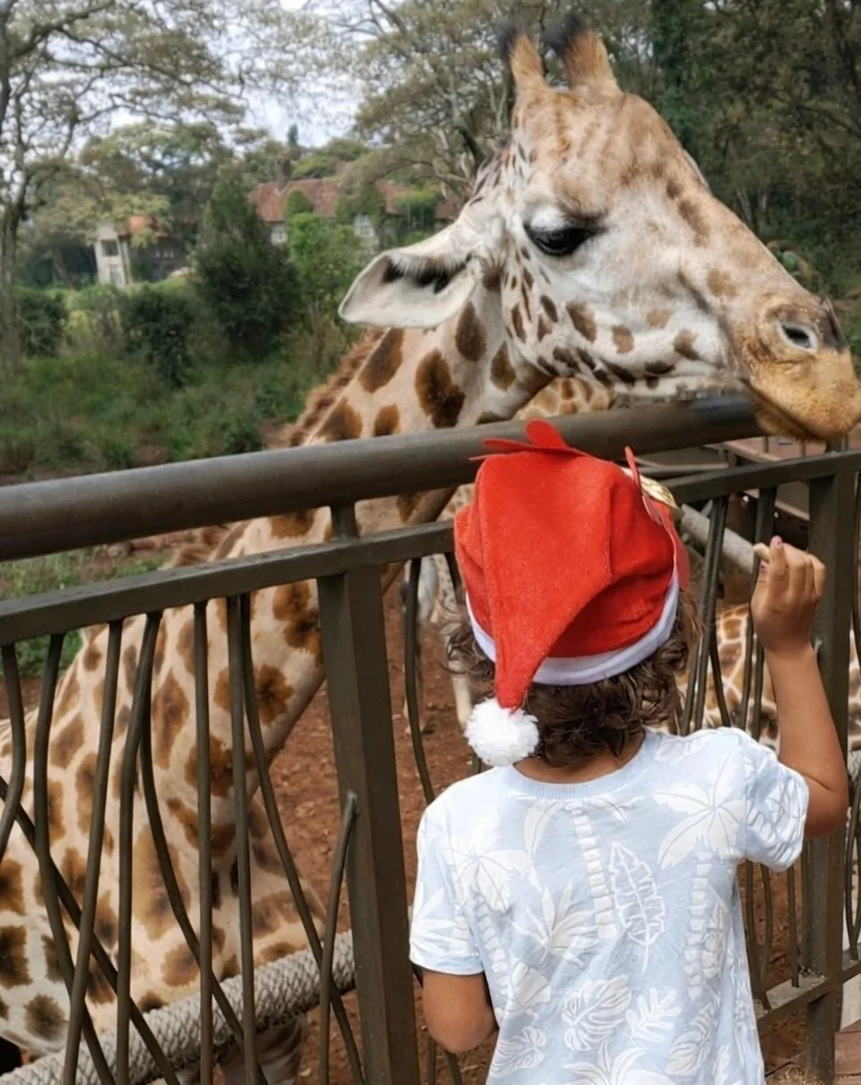 Christmas magic, Kenyan style ✨🦒