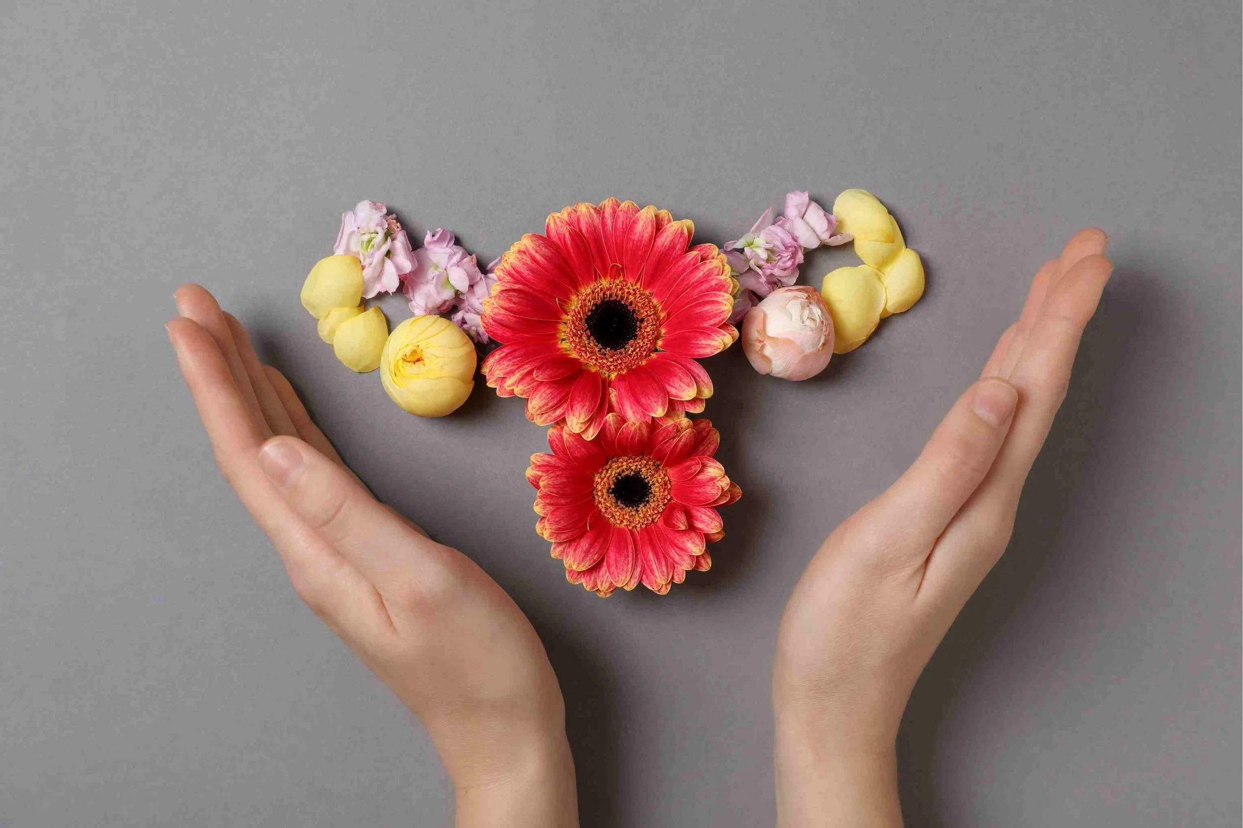Flowers laid out in the shape of a womb with hands cupping it gracefully