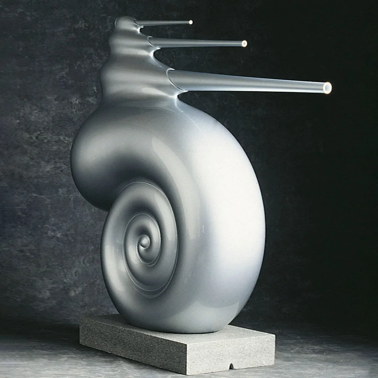 Nautilus-Silver_Image_2.jpg