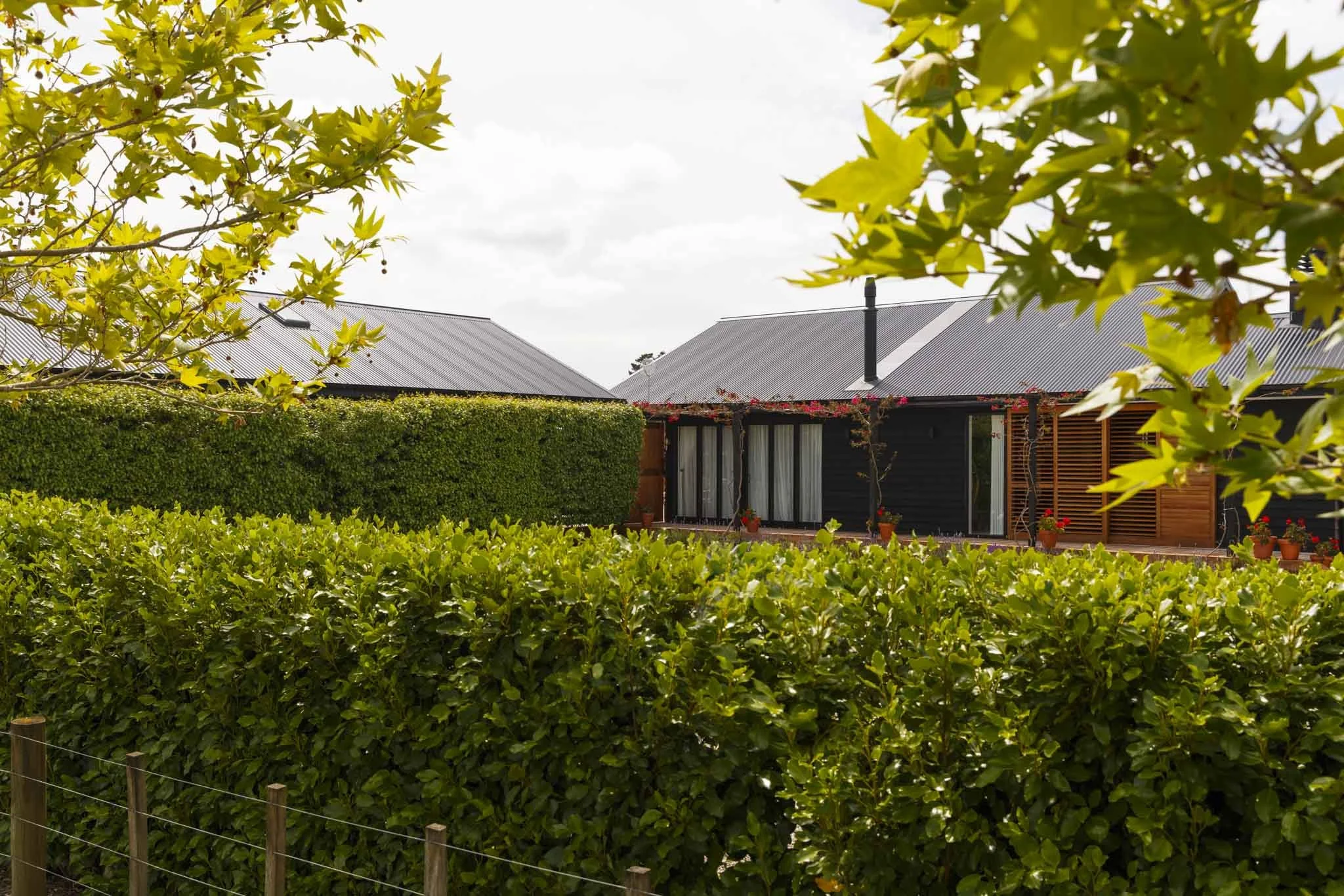 LAKEVIEW OCT2021-WEB-6071.JPG