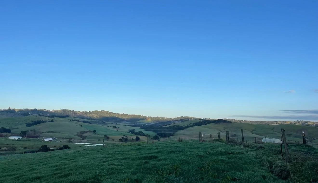 WhatsApp Image 2025-06-13 at 10.07.41.jpeg