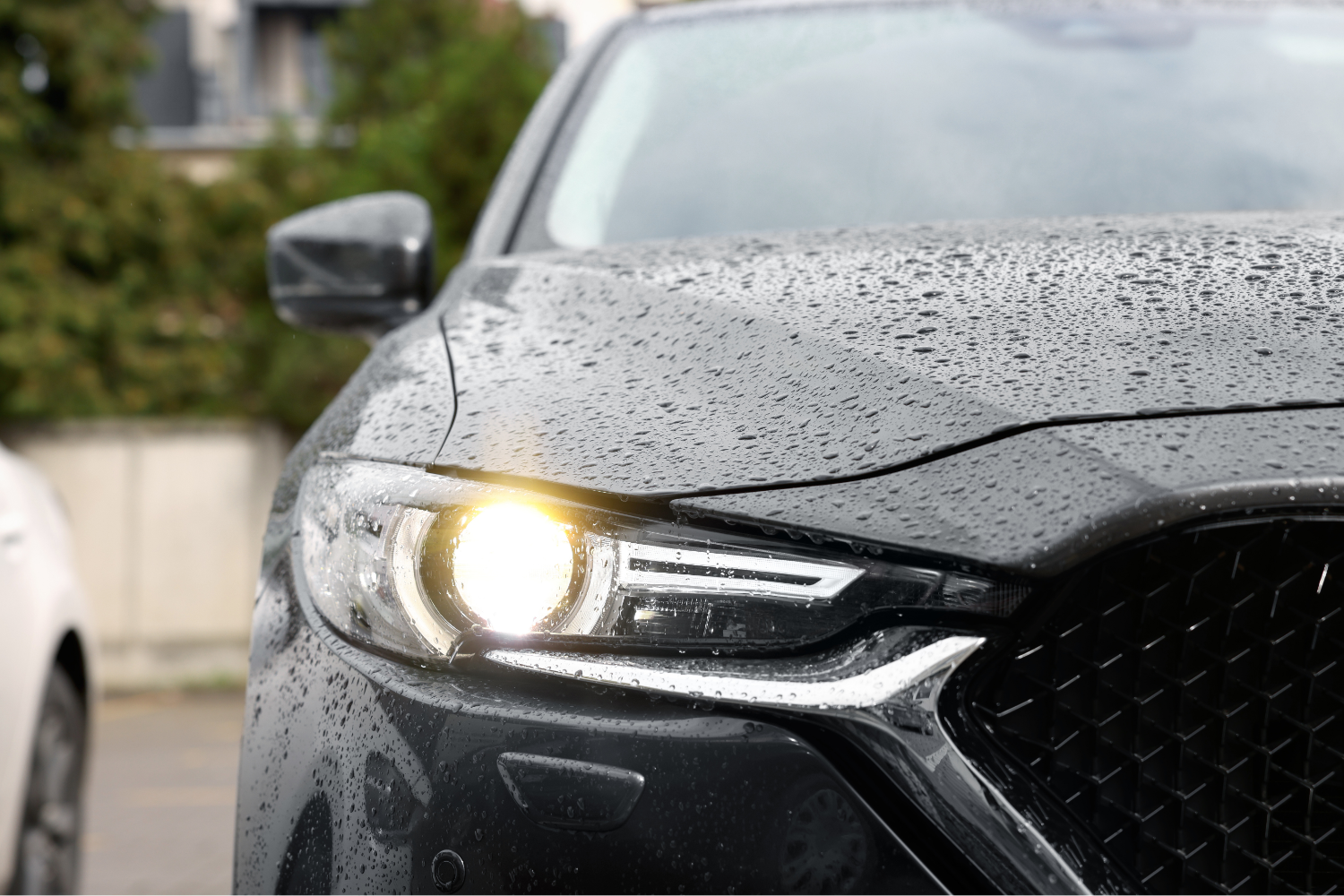How to Maintain Your Vehicle’s Shine During Florida’s Rainy Season