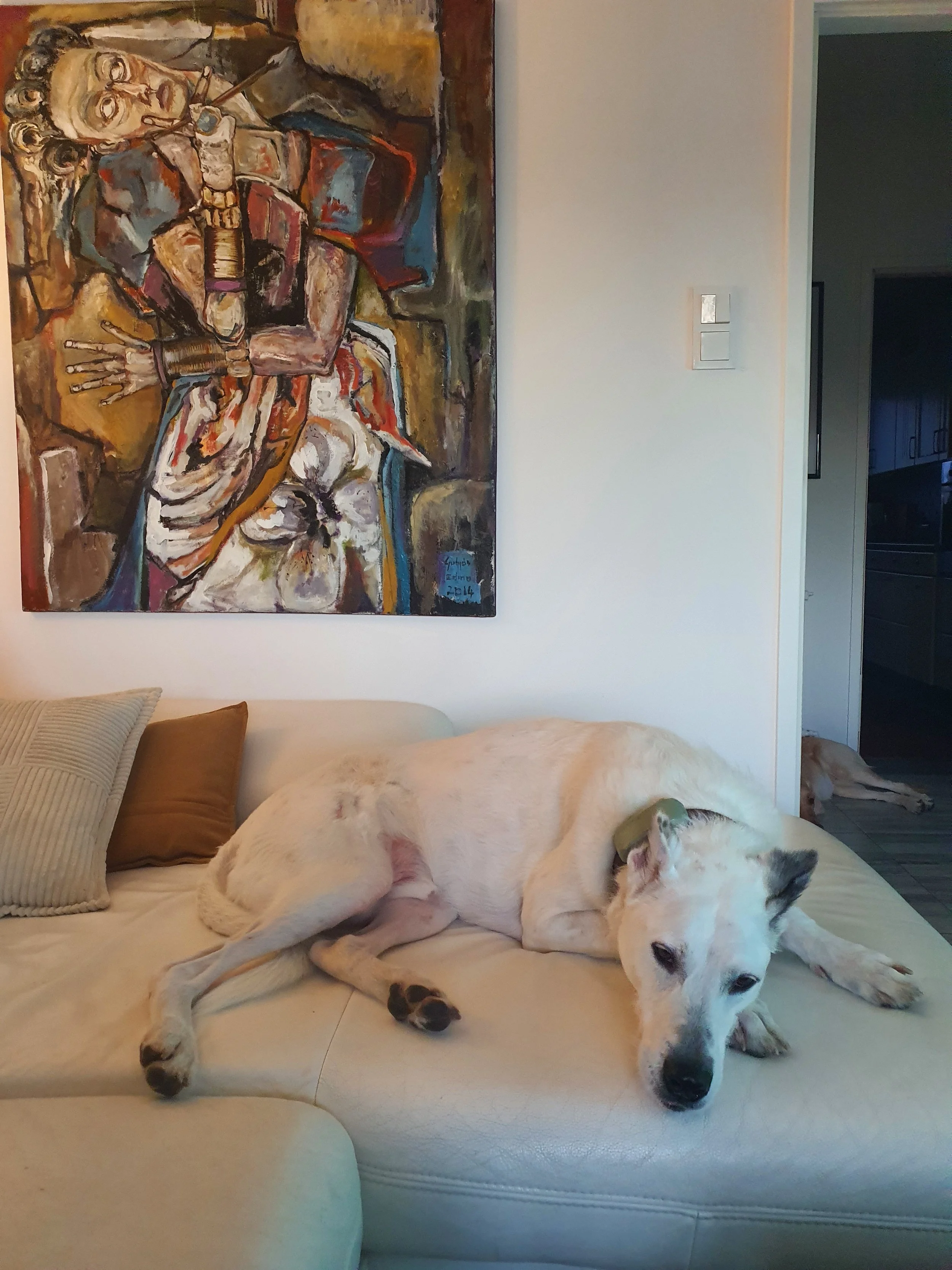Ein liegender Hund auf einem weißen Sofa, im Hintergrund eine Wand mit einem abstrakten Gemälde. Der Hund trägt ein Halsband.