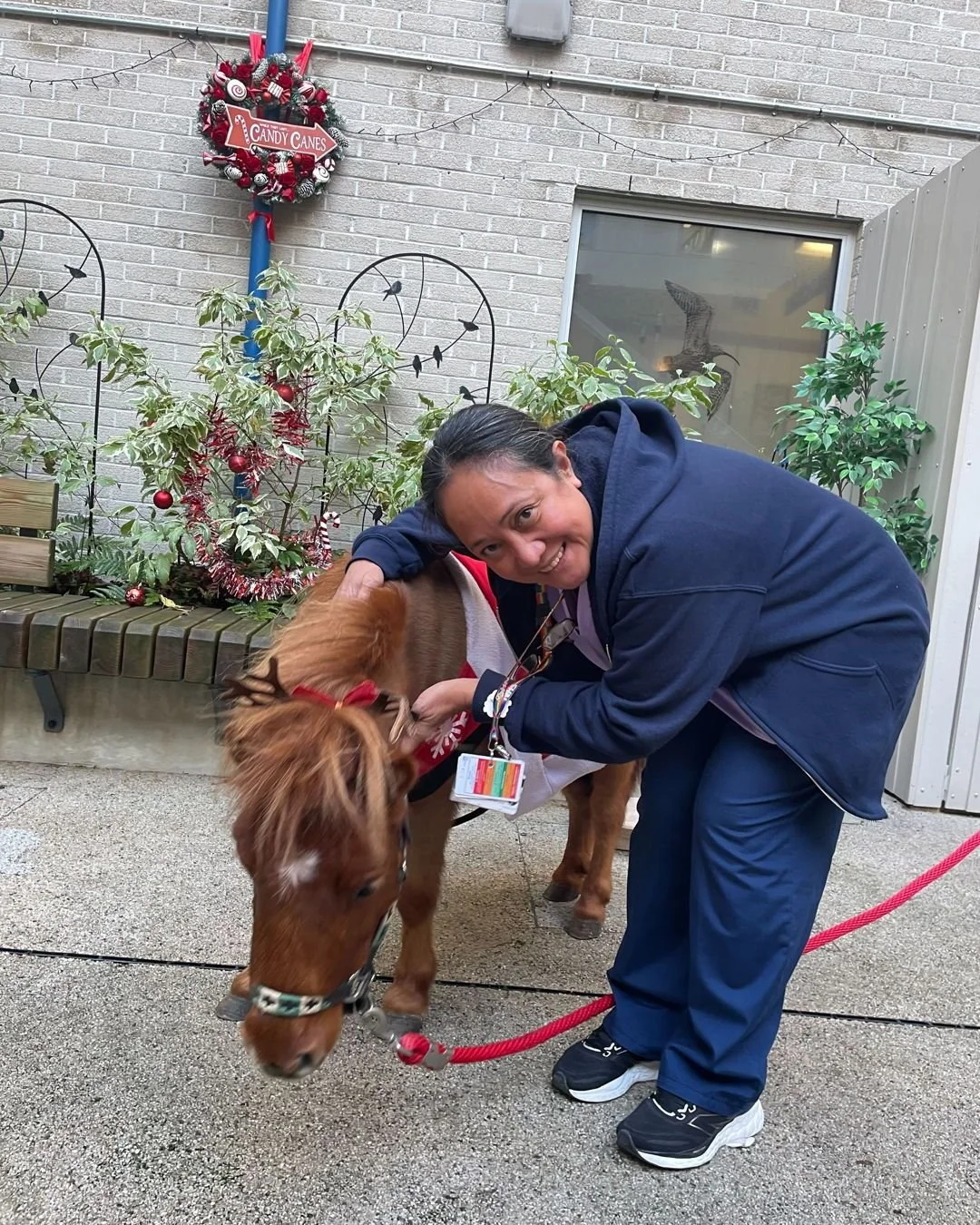 Peanut and Whizzle popped into the ICU Secret Garden today and completely stole our hearts! 💙 A big thank you to UHP&rsquo;s ICU team for arranging these visits for patients and staff, and to all our amazing donors who help make moments like this ha